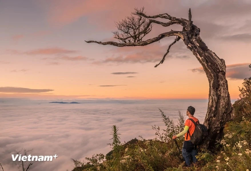 在征服险峻路段的旅程中，这里雄伟壮丽的自然景色让游客赞叹不已，仿佛置身“人间天堂” 。
