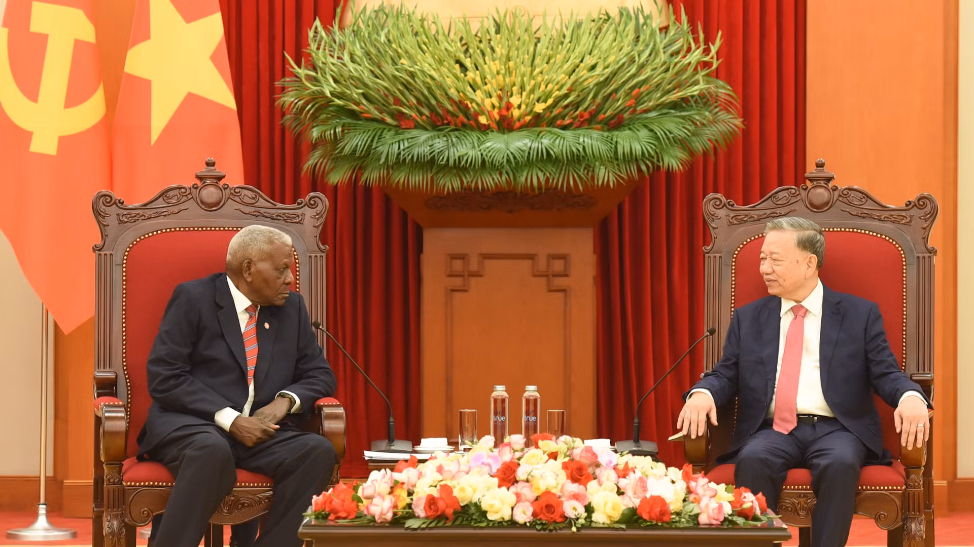 越共中央总书记苏林会见古巴全国人民政权代表大会主席埃斯特万。