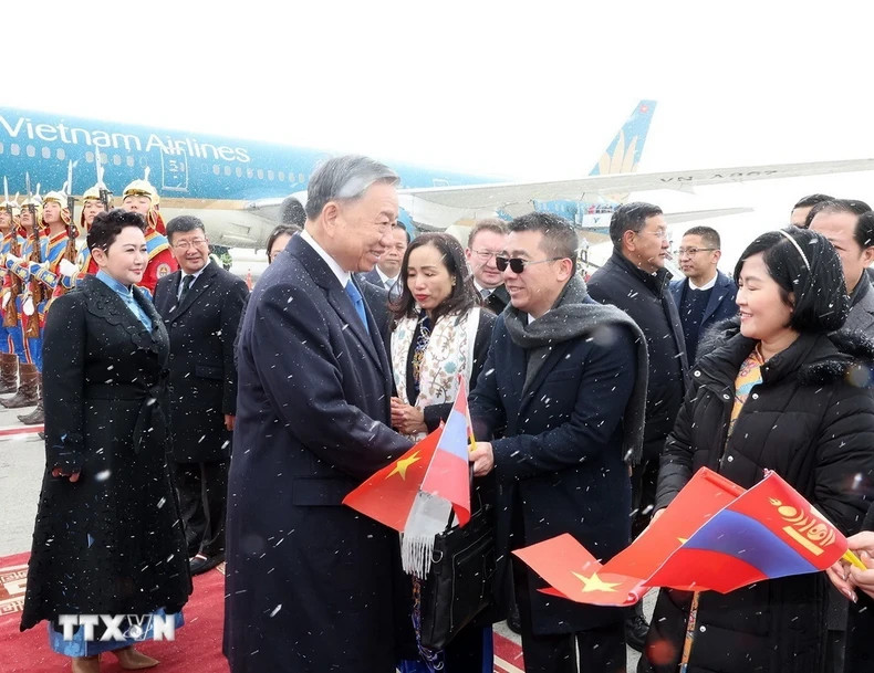 苏林总书记、国家主席欢迎仪式。