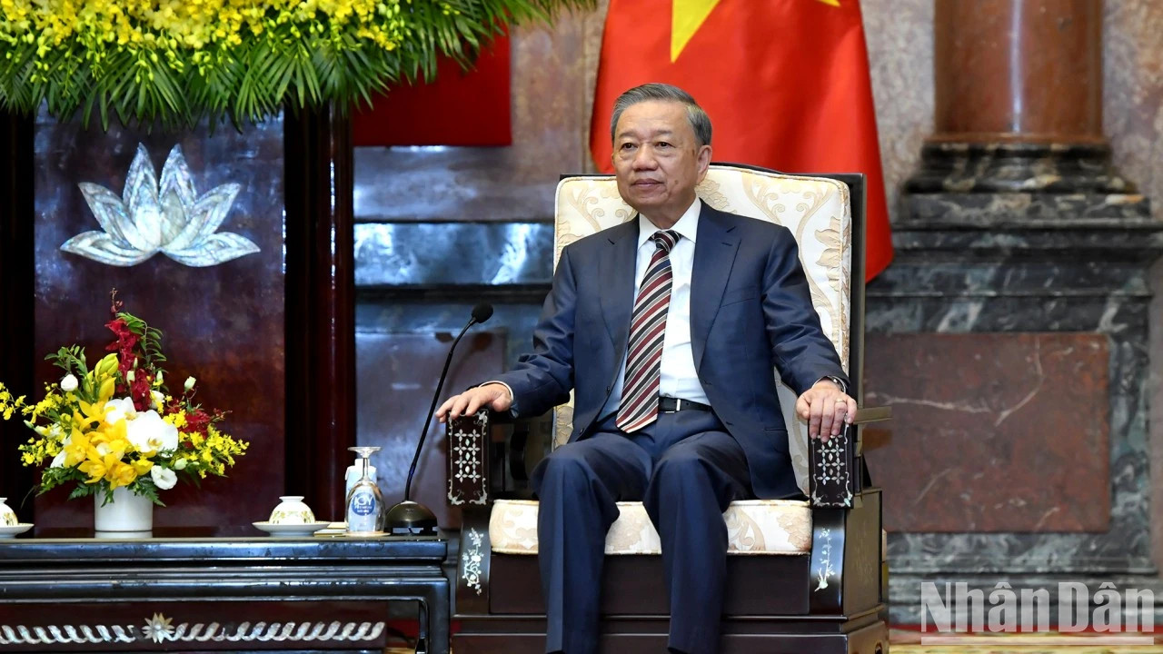 国家主席苏林在会见中发表讲话。