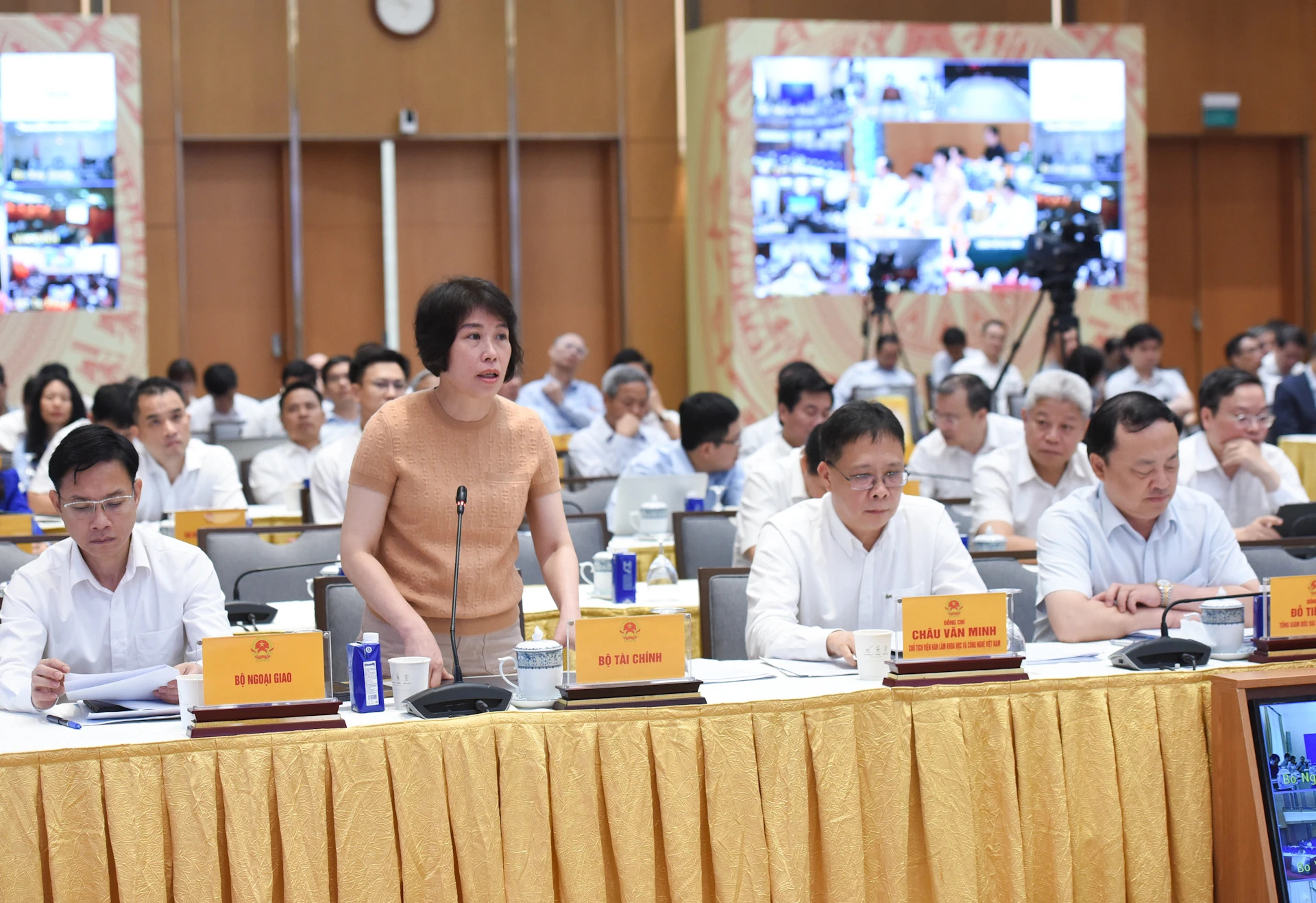 财政部副部长阮氏碧玉发表讲话。