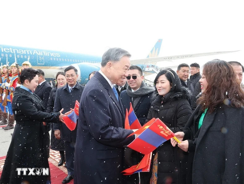 苏林总书记、国家主席欢迎仪式。