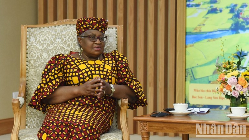 世界贸易组织总干事恩戈齐·奥孔乔-伊维拉博士对越南经济社会发展成就表示祝贺。