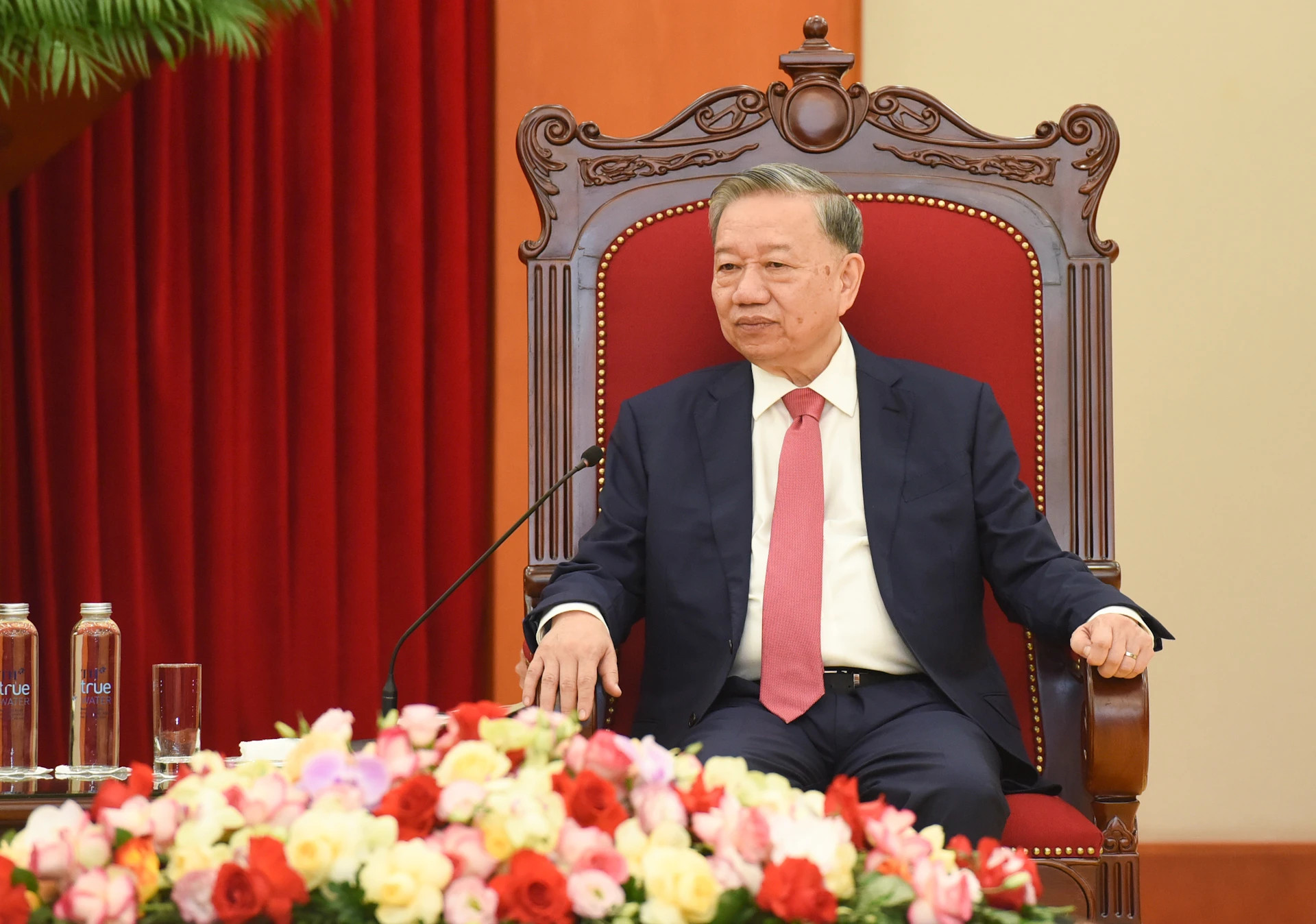 苏林总书记在会见中发表讲话。