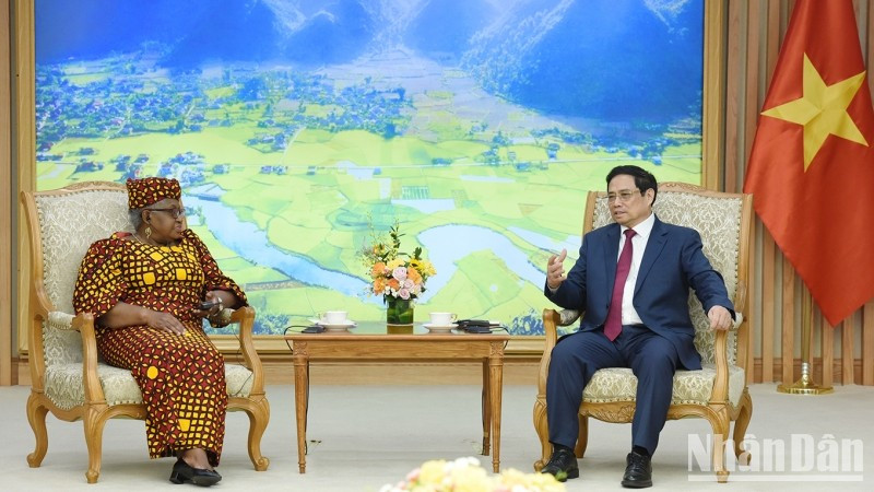 越南政府总理范明正会见世界贸易组织总干事。