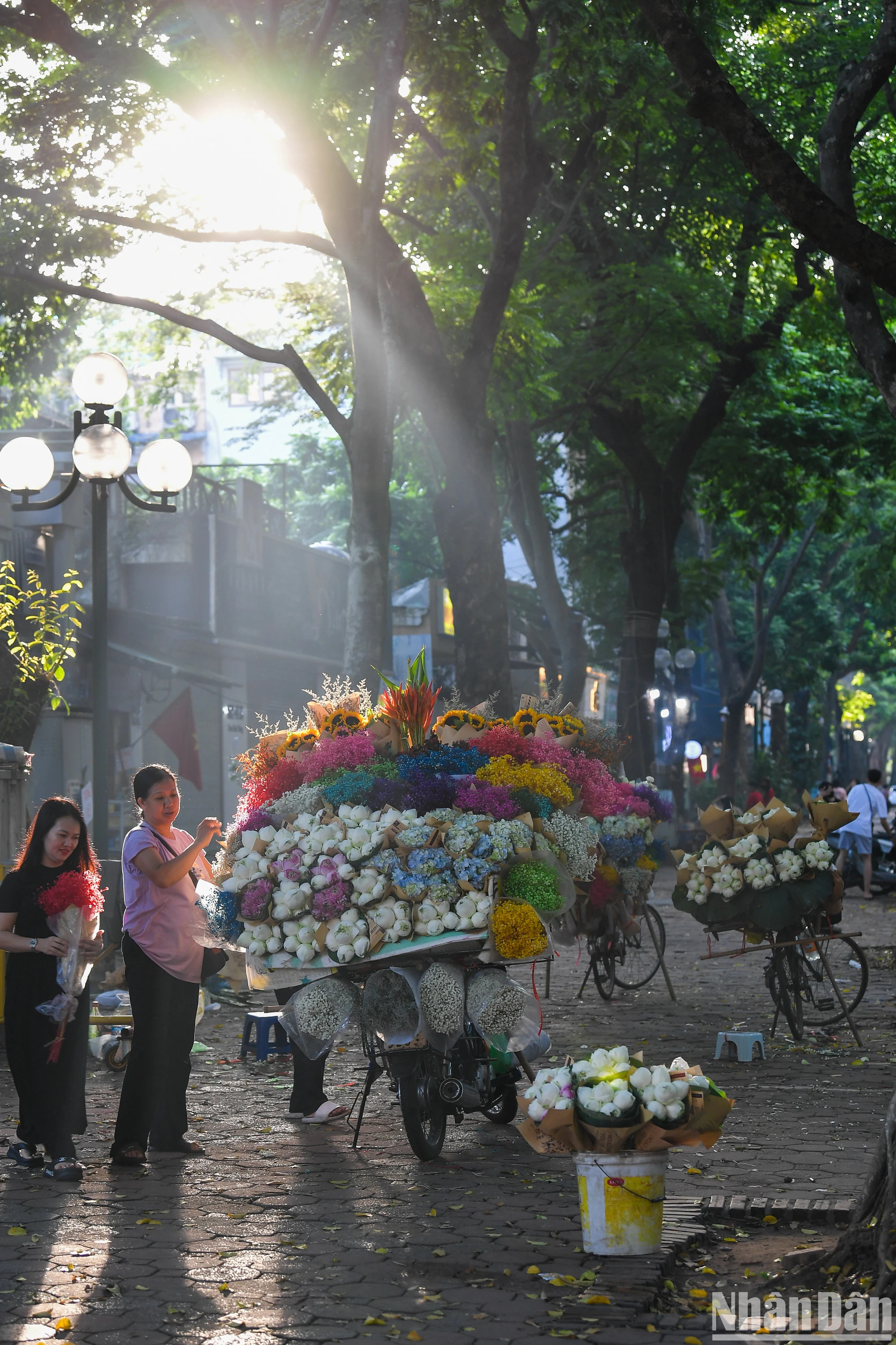 秋天阳光下的花车。