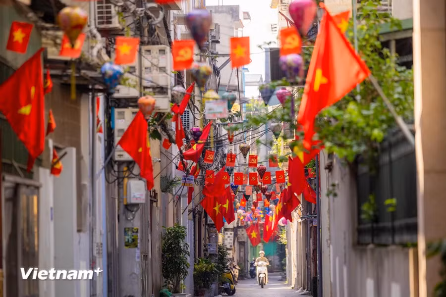 河内市各条街道上都摆满鲜花，悬挂国旗，装饰电灯、标语，庆祝国庆79周年。（图片来源：越通社）