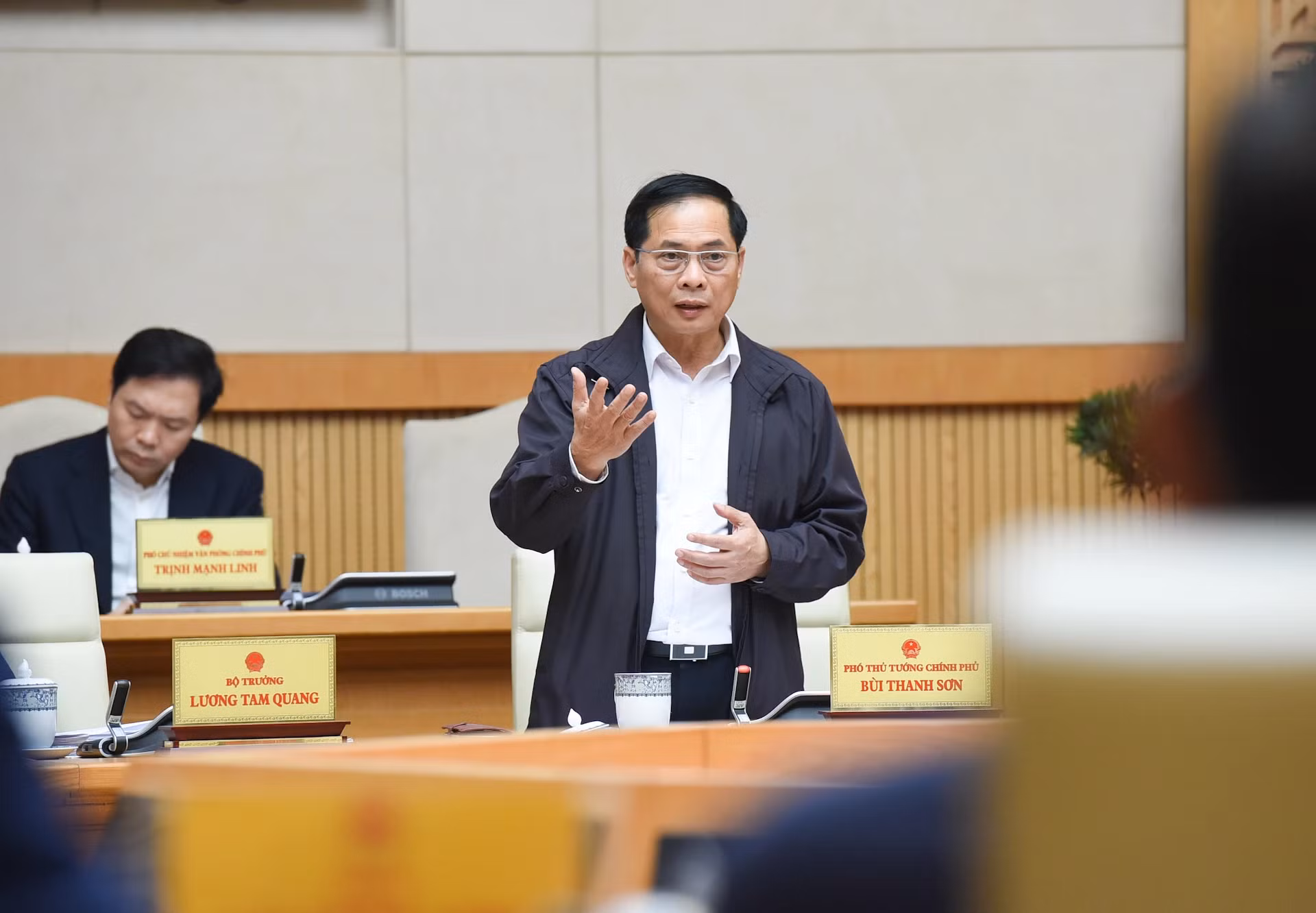 政府副总理兼外交部长裴青山在会上发表讲话。