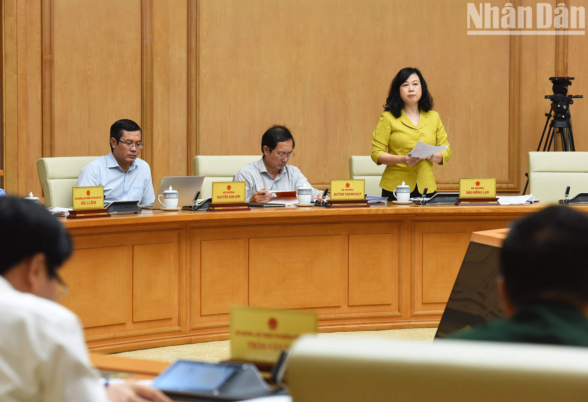 越南卫生部部长陶红兰在会上发表讲话。