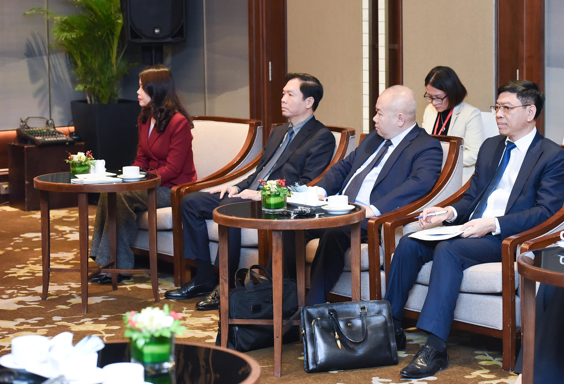 越南各部委领导代表出席会见。