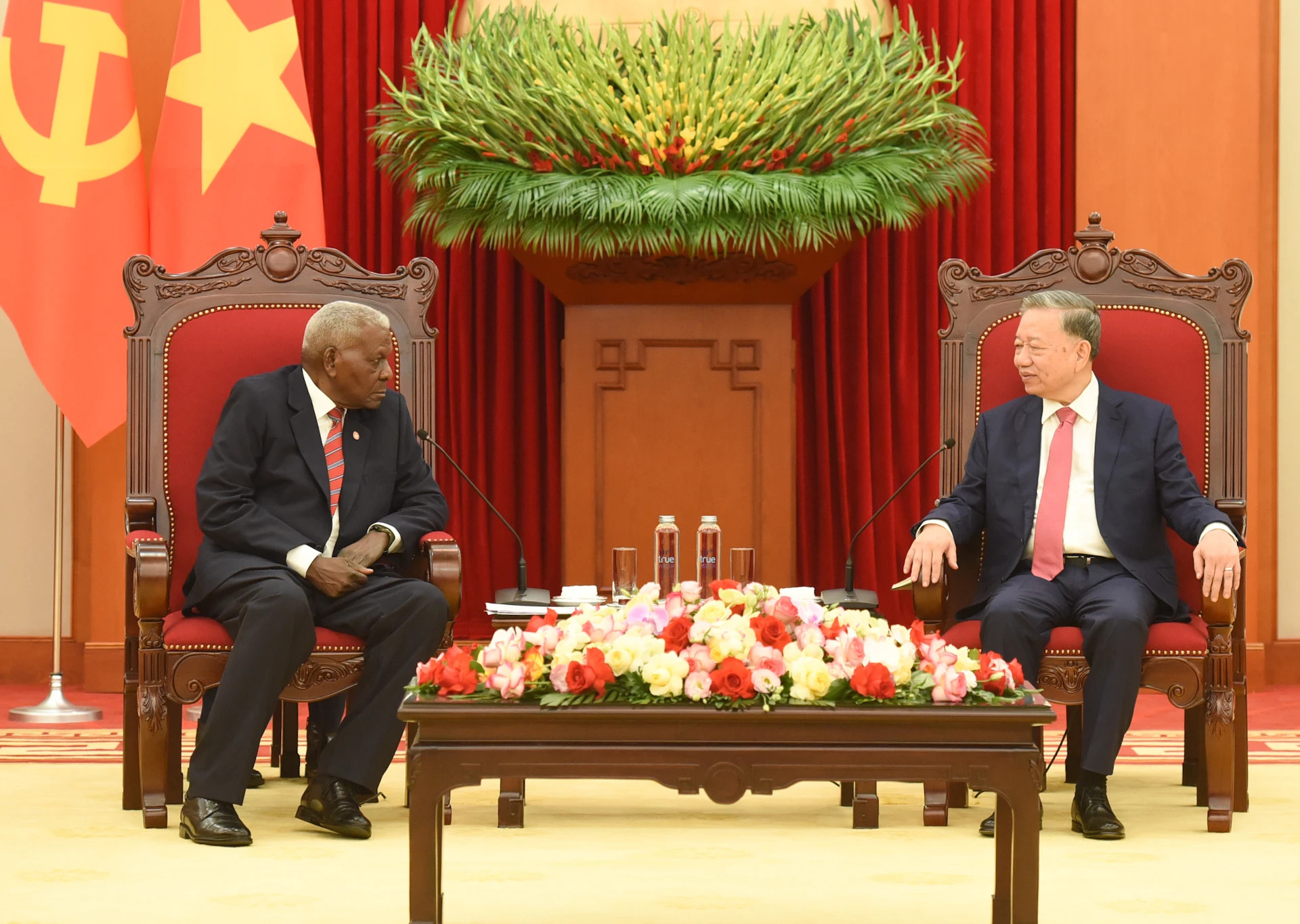 越共中央总书记苏林会见古巴全国人民政权代表大会主席埃斯特万。