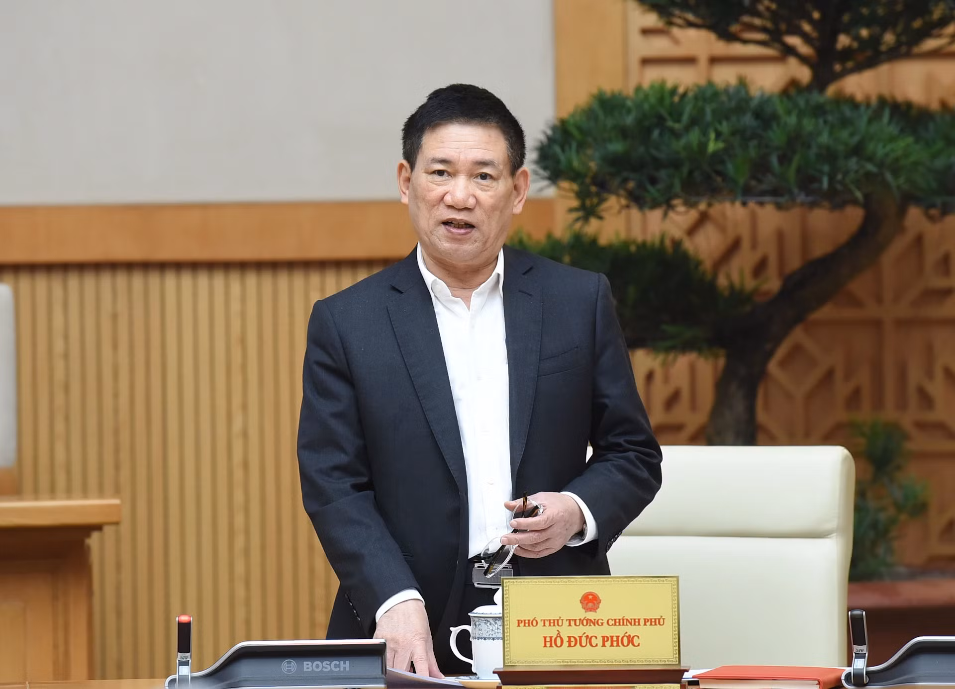 政府副总理胡德福在会上发表讲话。
