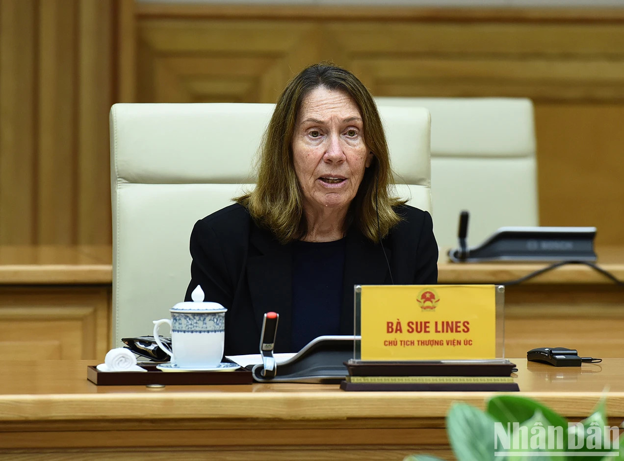 澳大利亚参议院议长苏·莱恩斯发表讲话。