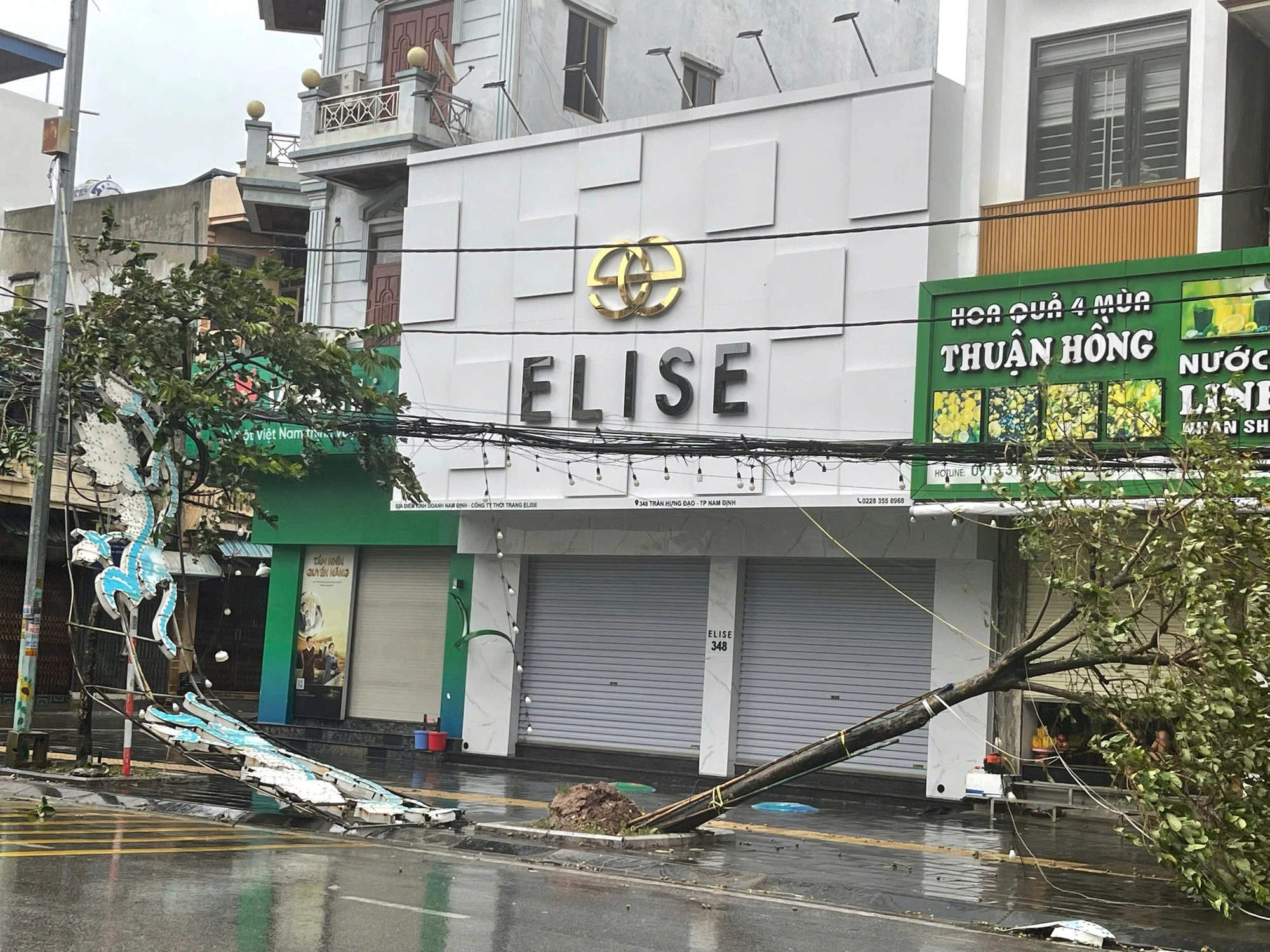 南定省多条路段的大树被连根拔起，广告牌被吹裂。