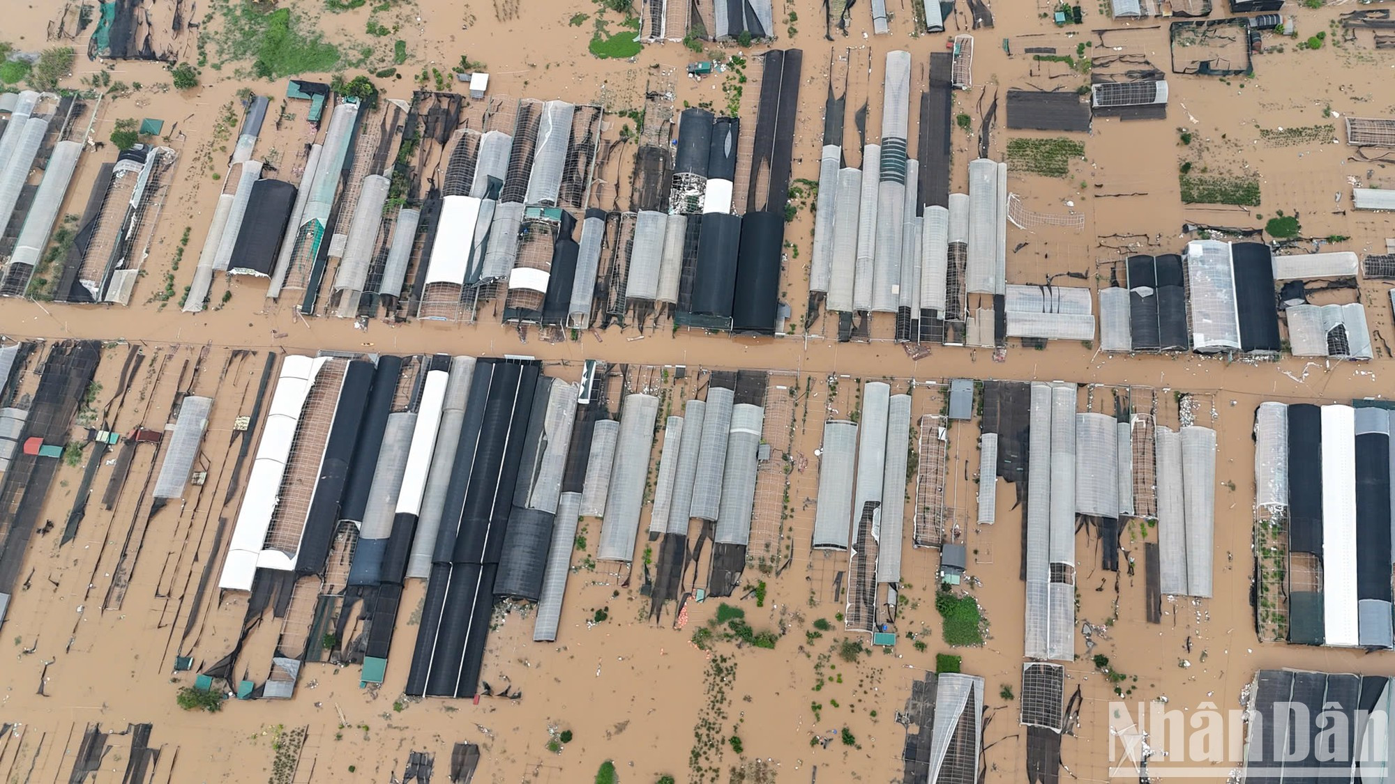 水位迅速上涨,造成人们损失惨重。 水位迅速上涨,造成人们损失惨重。