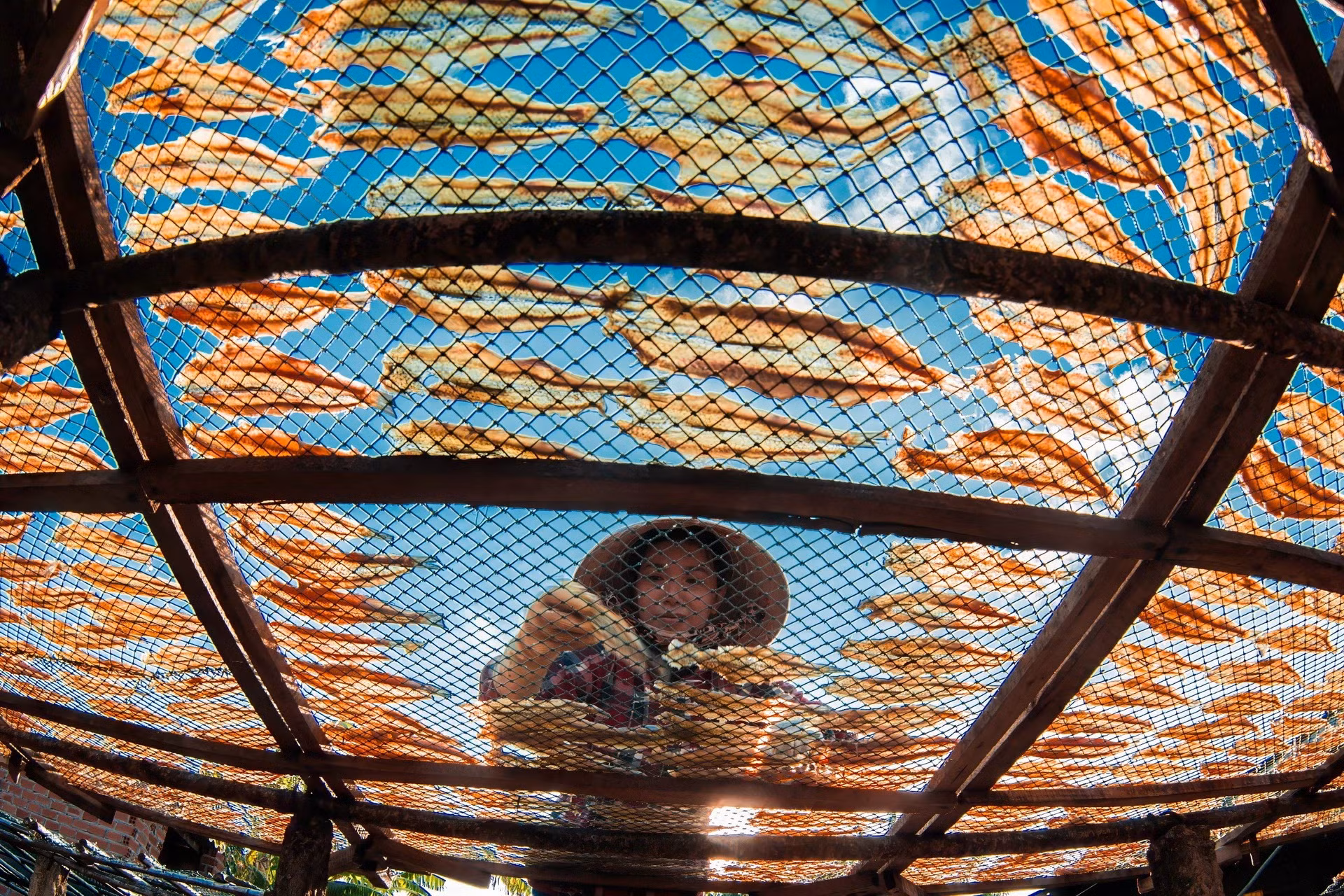 烘晒过程是由人们精心完成的。