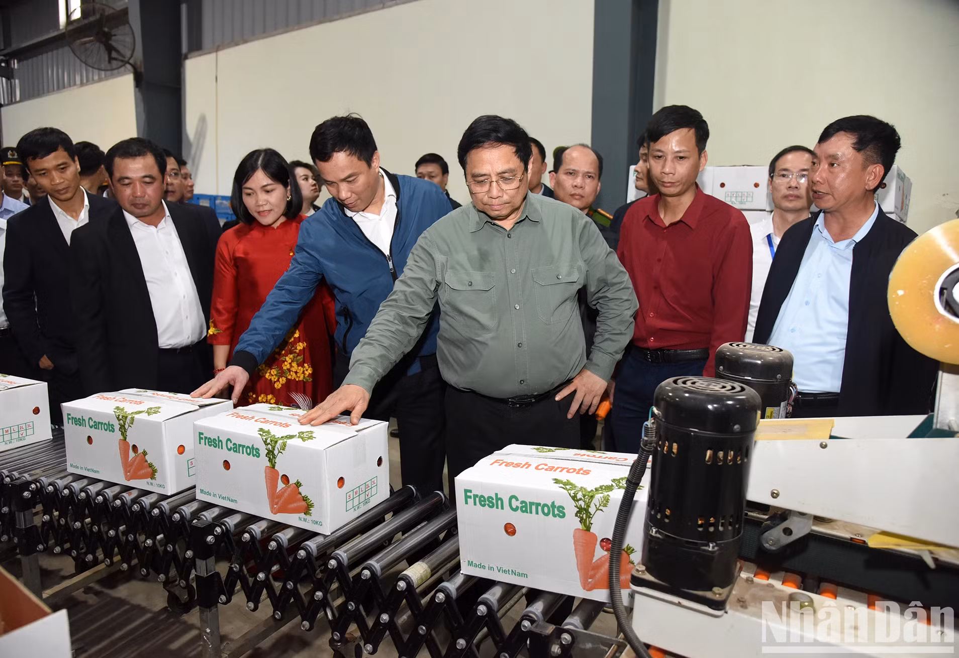 范明正总理参观德正合作社的胡萝卜包装线。