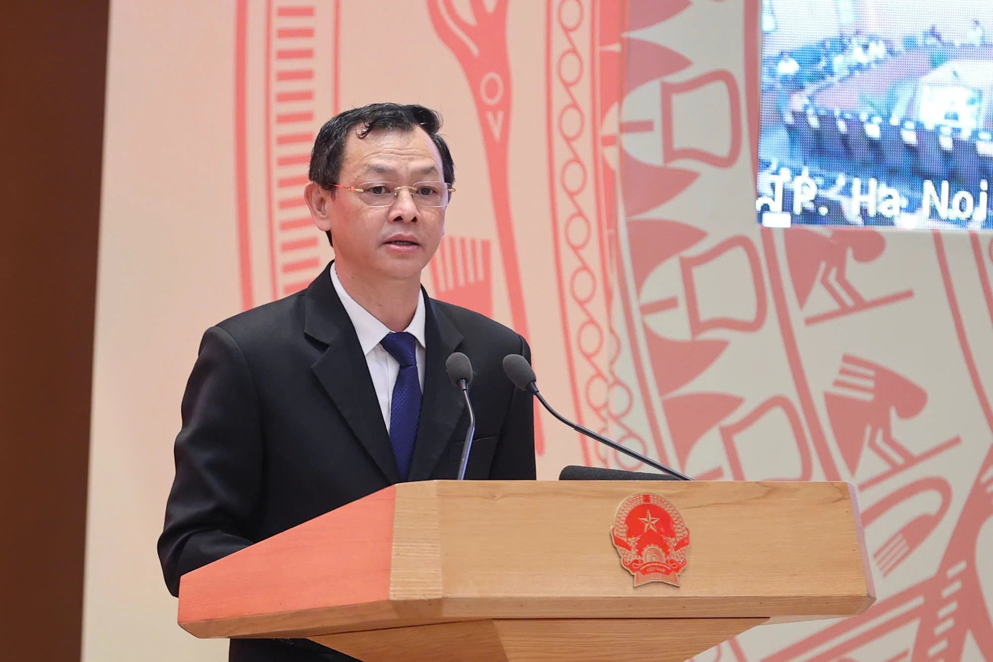 卫生部副部长阮知识在会上发表讲话。