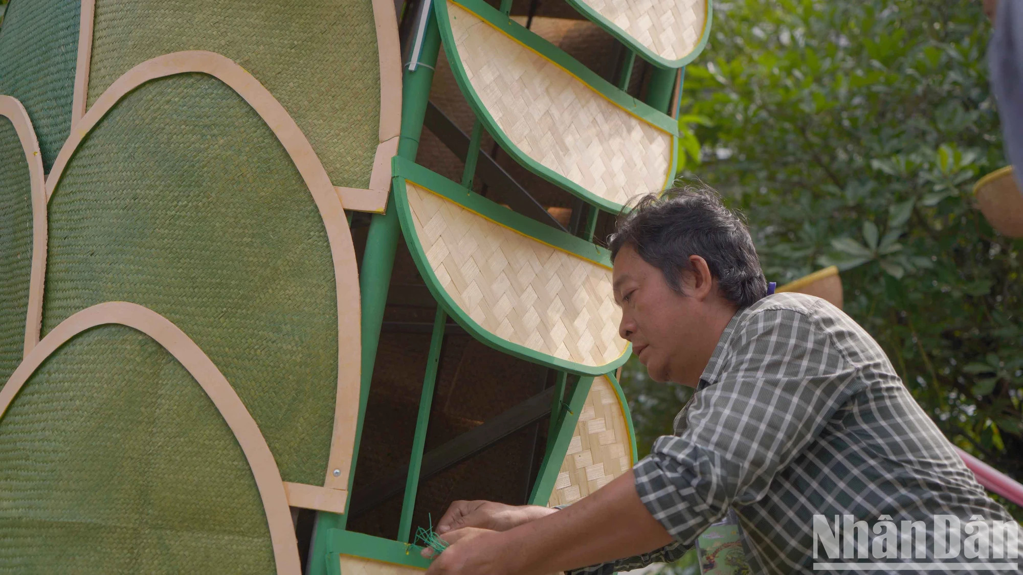 除了创下阮惠花街的生肖动物尺寸创纪录外,今年的龙吉祥物造型也十分环保,90%以上使用的材料是用竹子和藤条。 除了创下阮惠花街的生肖动物尺寸创纪录外,今年的龙吉祥物造型也十分环保,90%以上使用的材料是用竹子和藤条。