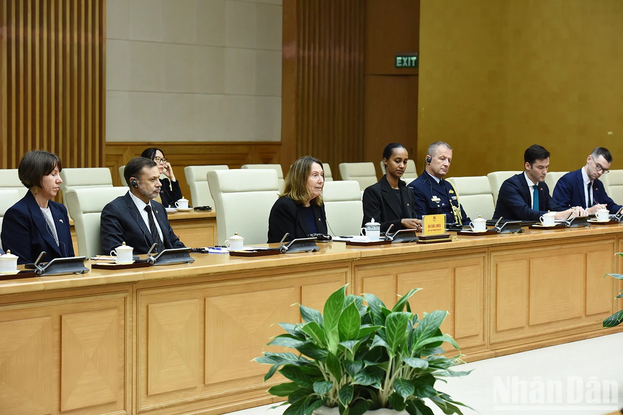 澳大利亚参议院议长苏·莱恩斯以及澳大利亚各位代表出席会见。