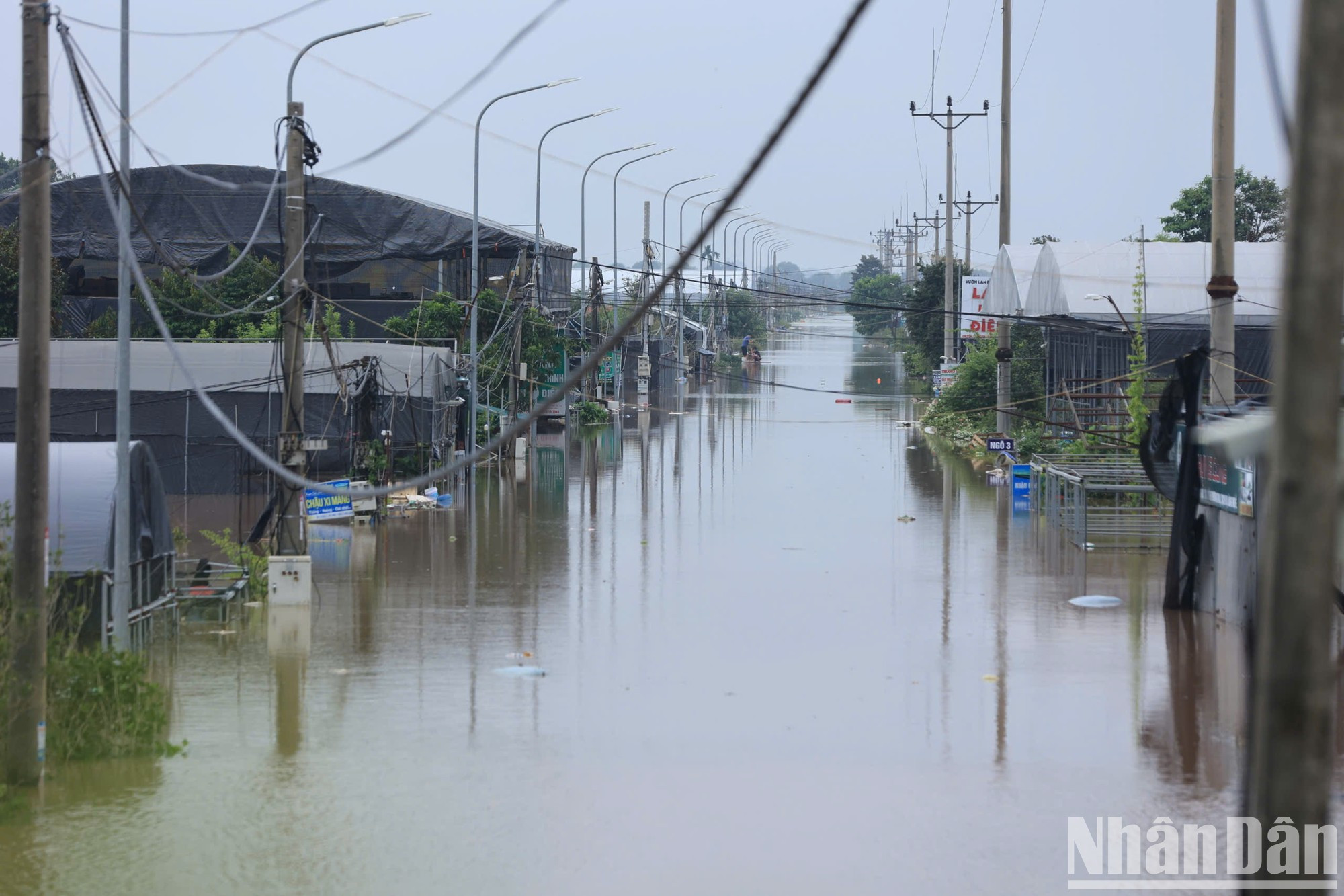 从堤面看,凤功乡村路的水位很高。 从堤面看,凤功乡村路的水位很高。