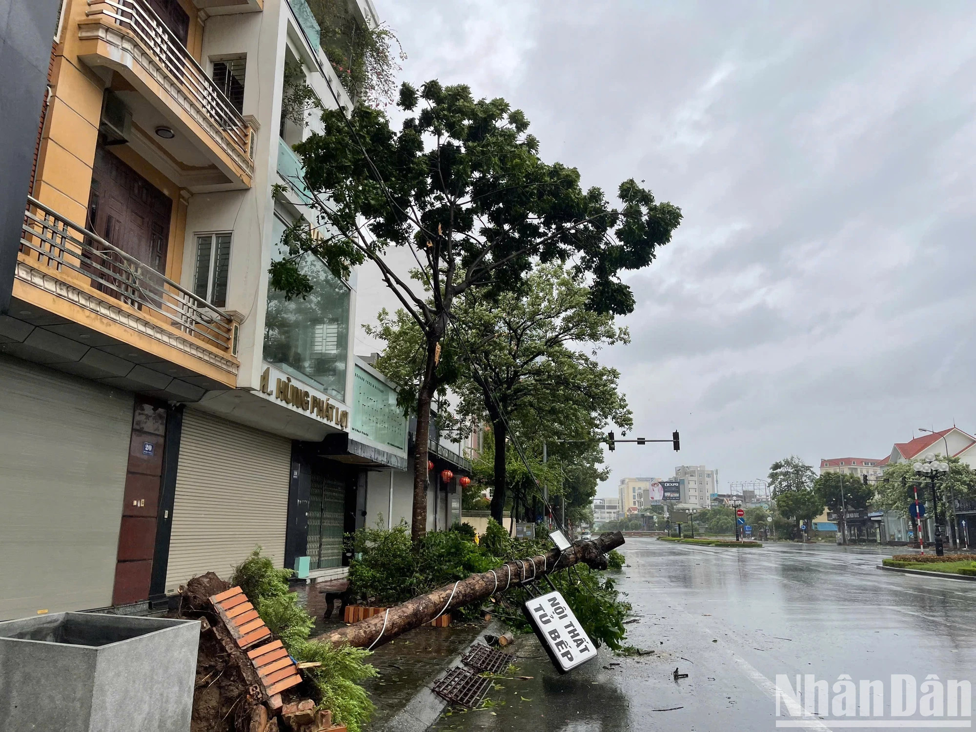 南定省多条路段的大树被连根拔起，广告牌被吹裂。