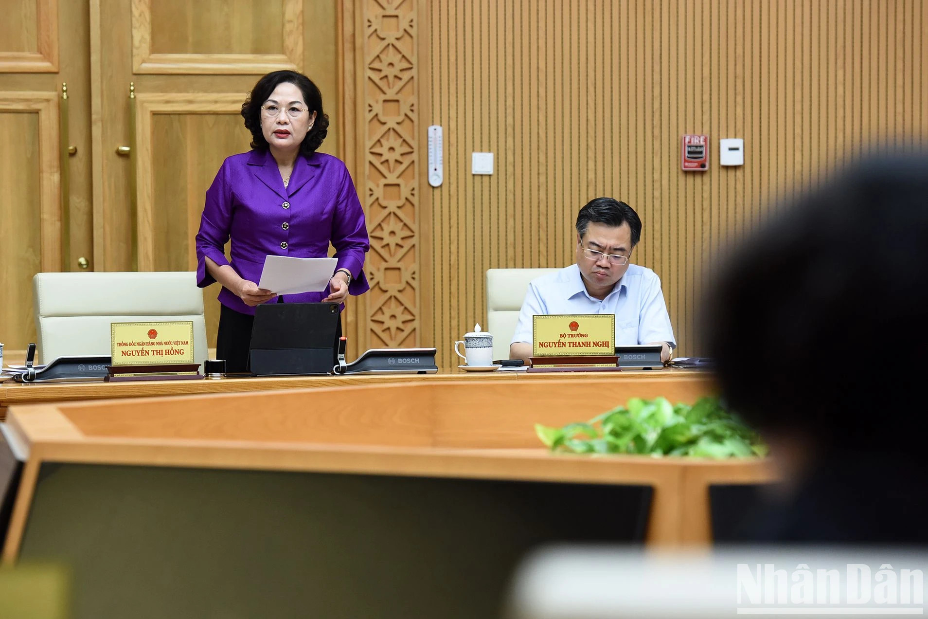 越南国家银行行长阮氏红在会上发表讲话。