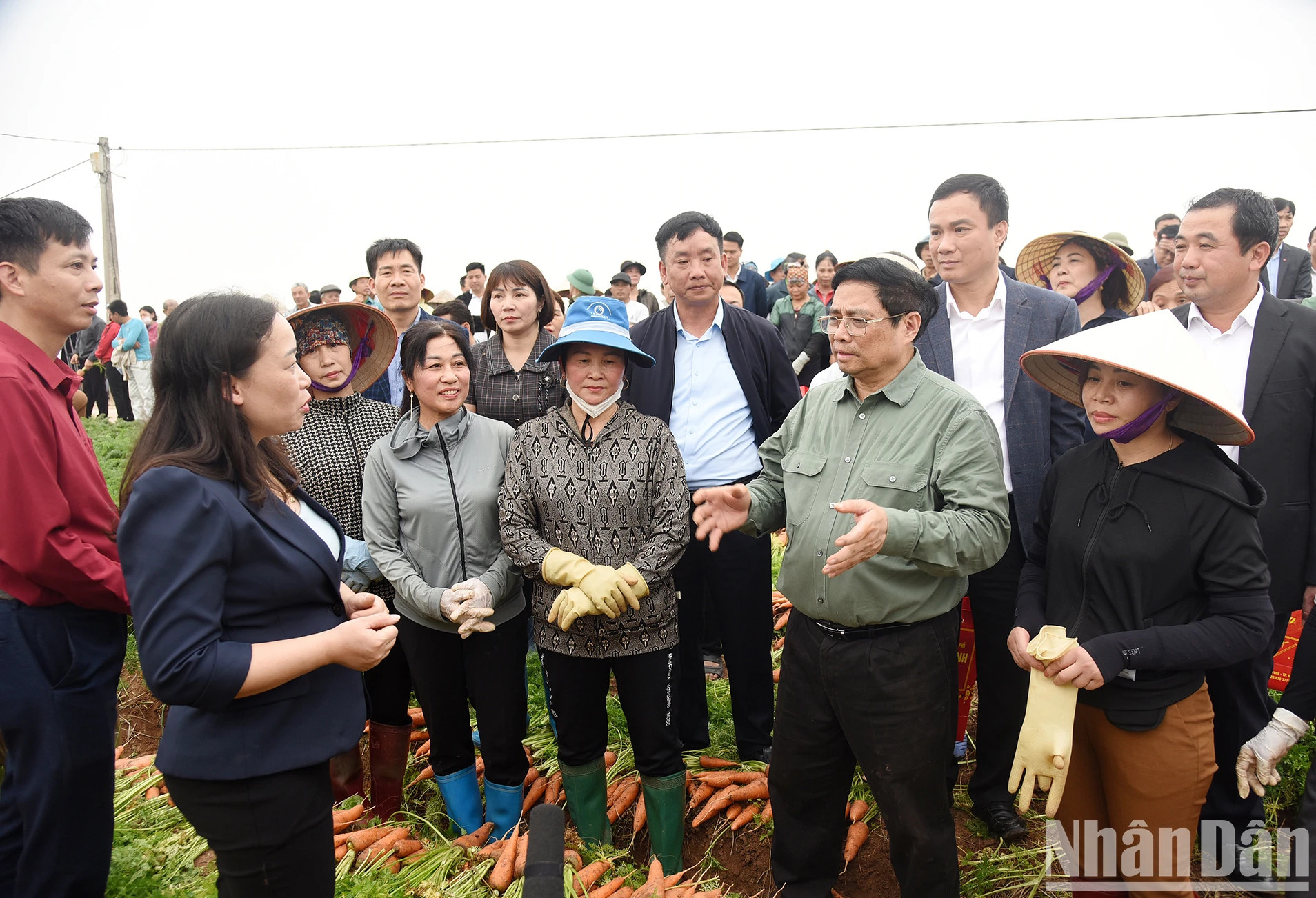 范明正总理走进红萝卜田,同农民们亲切交谈。 范明正总理走进红萝卜田,同农民们亲切交谈。