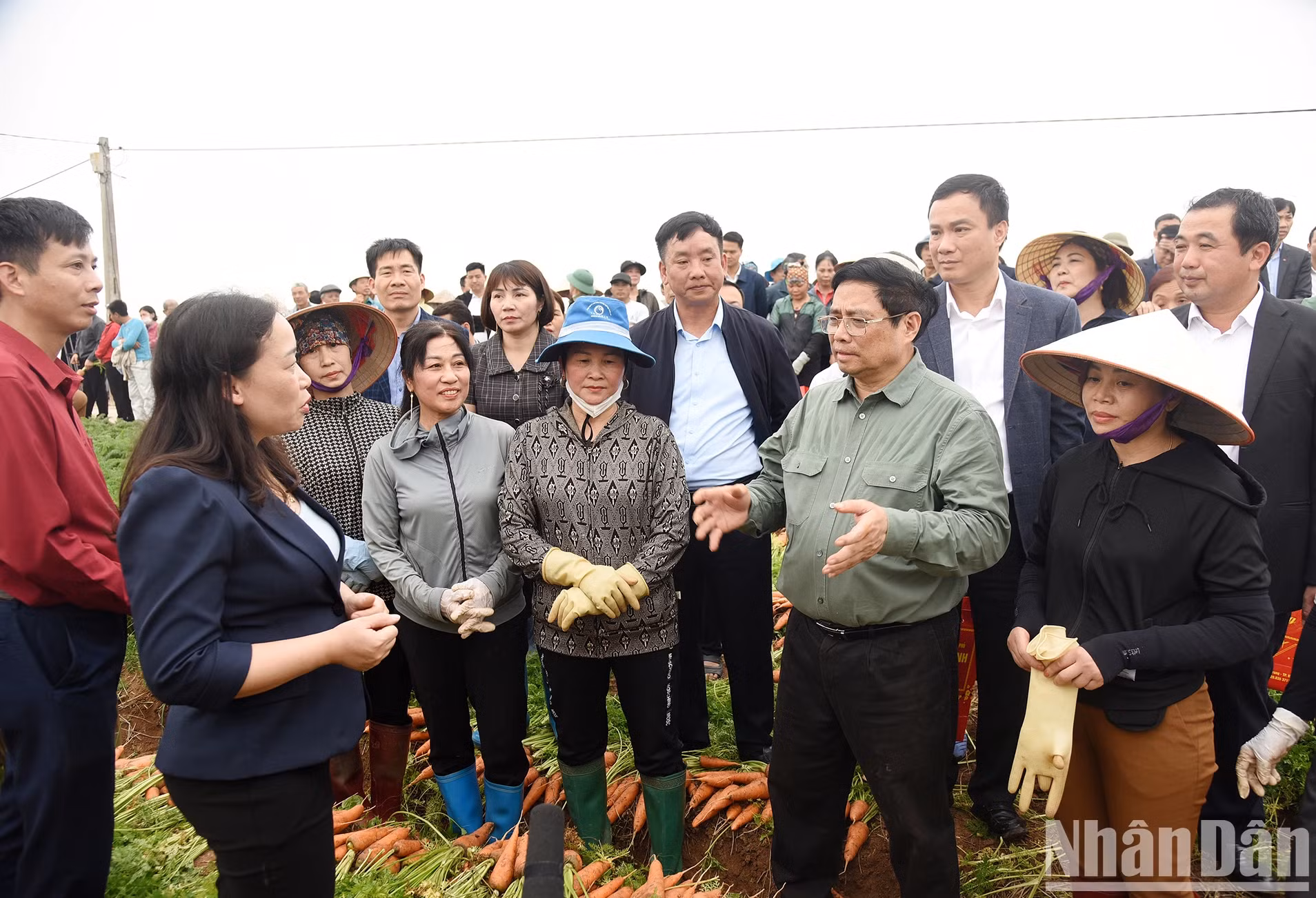 范明正总理走进红萝卜田，同农民们亲切交谈。