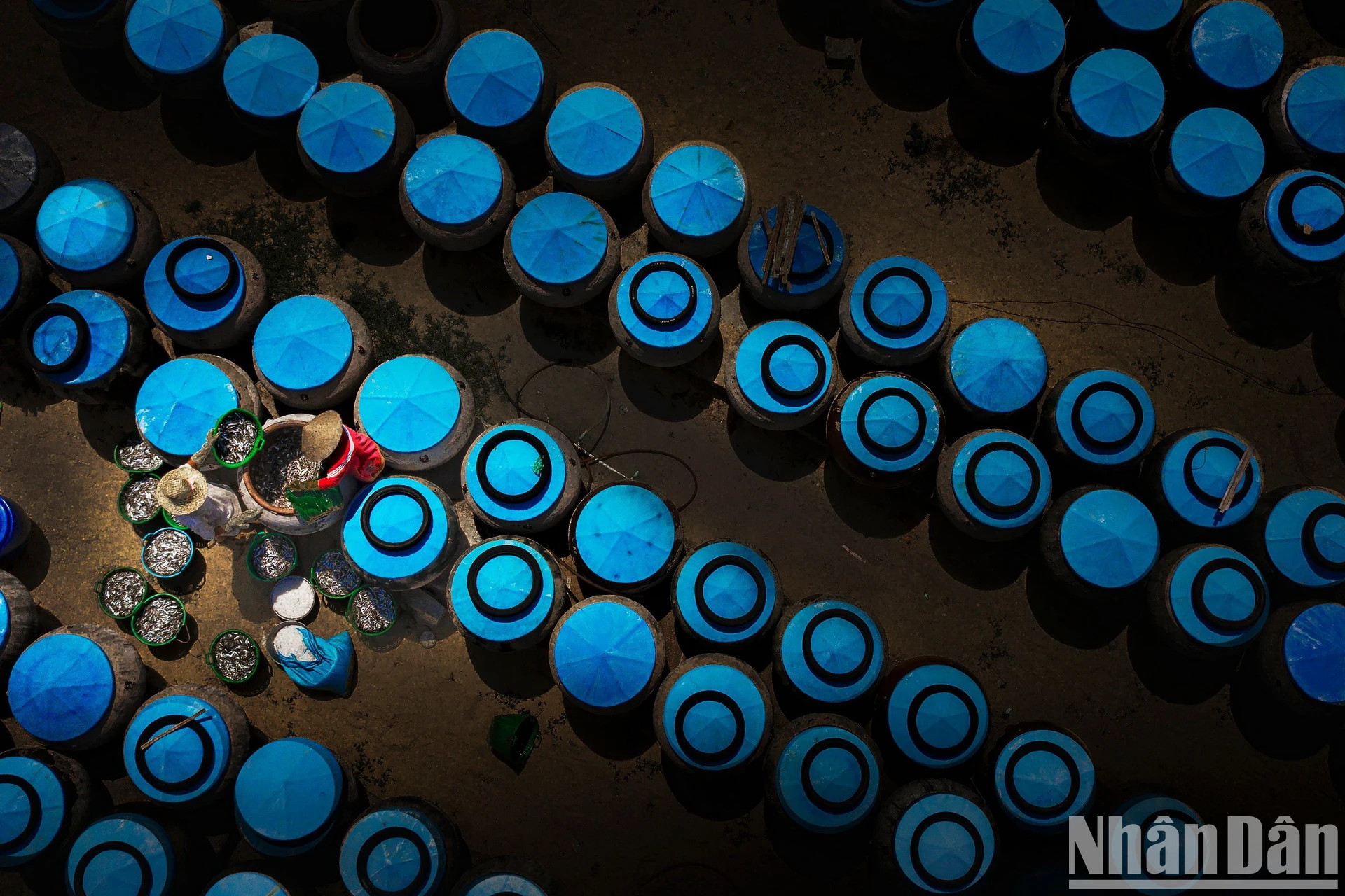 沿海人民制作鱼露,创造出著名的美味鱼露产品。 沿海人民制作鱼露,创造出著名的美味鱼露产品。