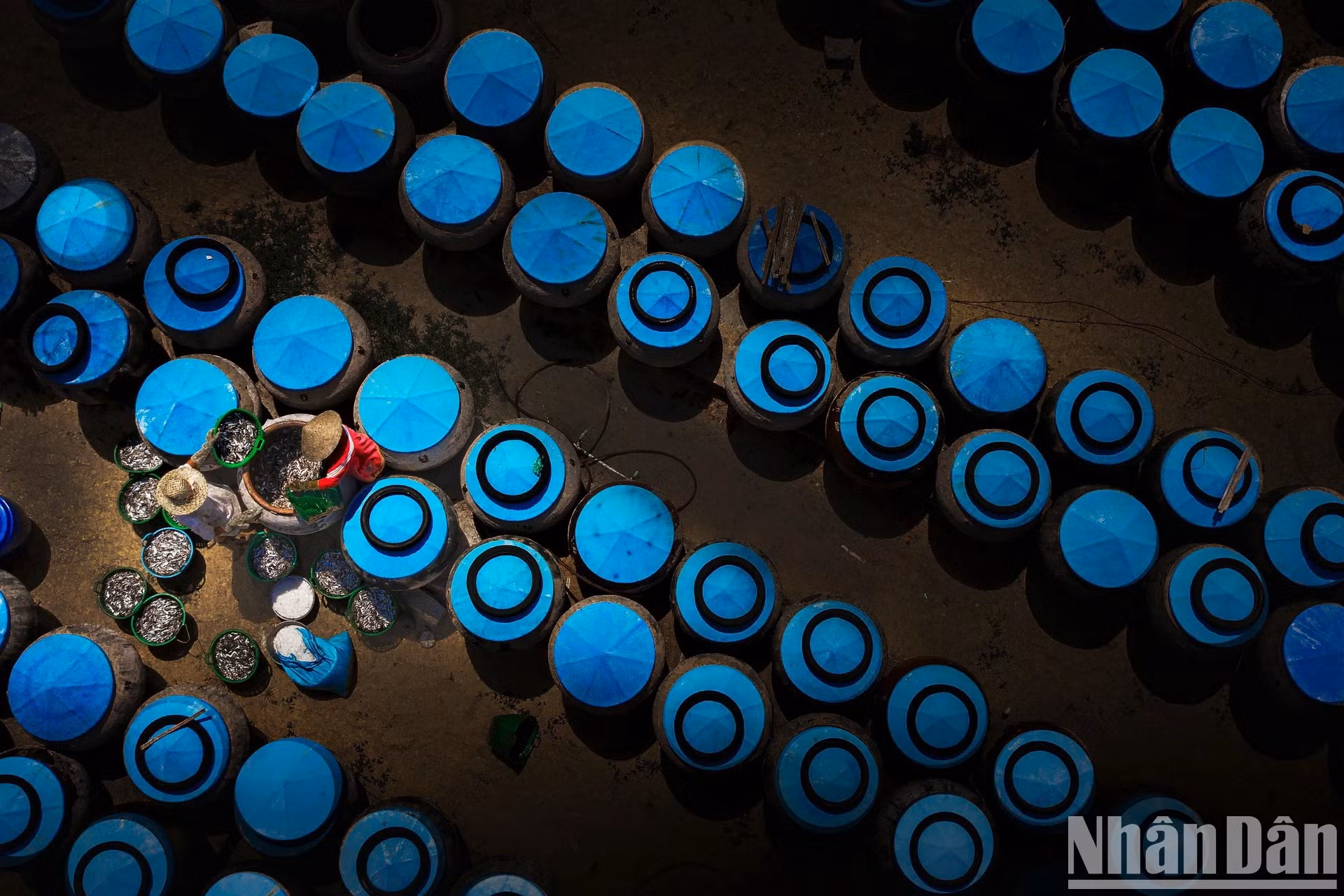 沿海人民制作鱼露，创造出著名的美味鱼露产品。