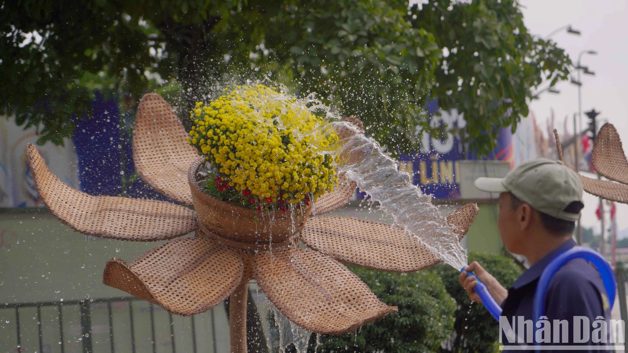 一批微缩景观正在工人们紧急完成,数十种大小不一、颜色各异的花卉正在装点花街。 一批微缩景观正在工人们紧急完成,数十种大小不一、颜色各异的花卉正在装点花街。