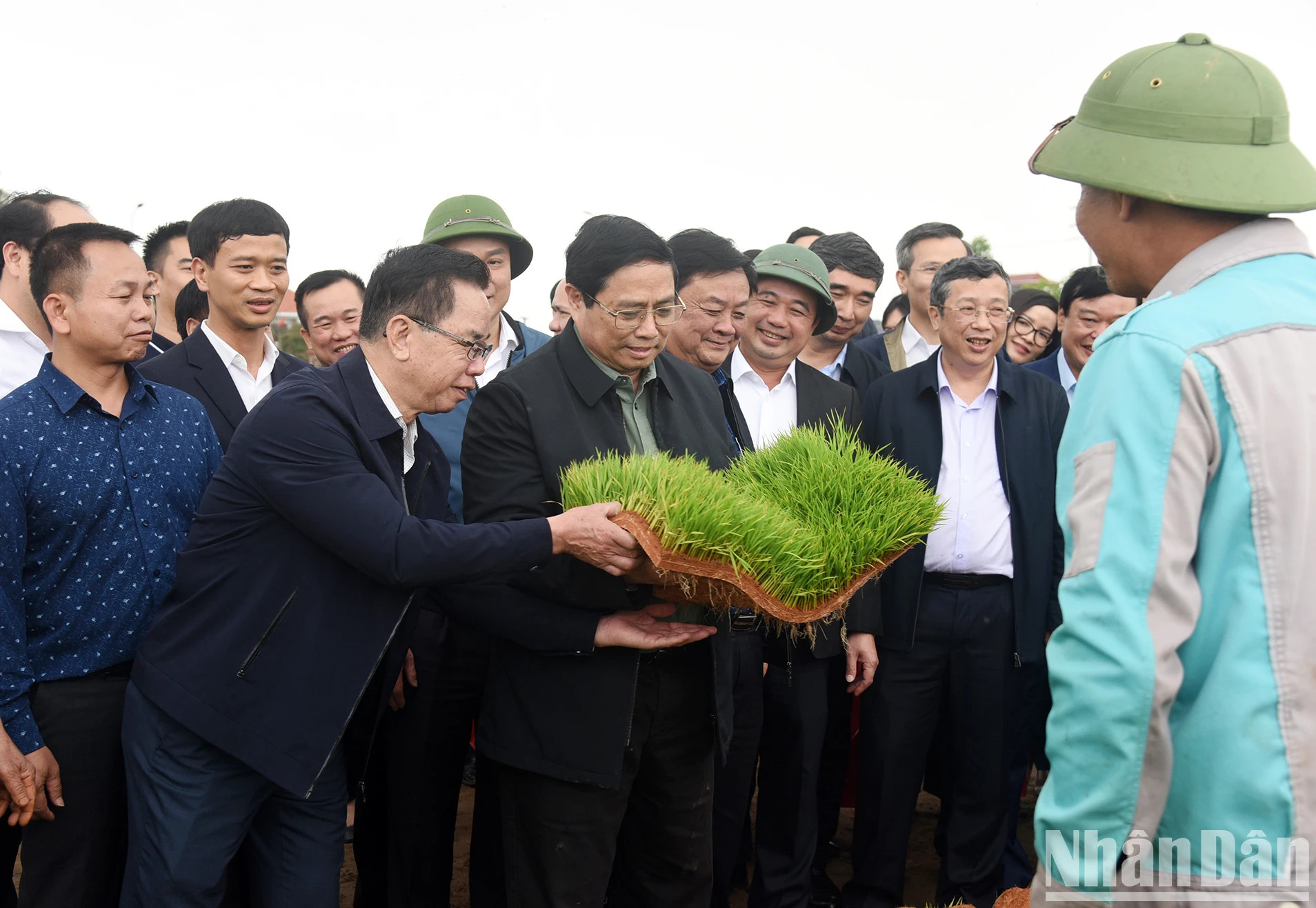 范明正总理走访宁江县兴龙乡水稻秧盘育秧区和采用播种机播种的稻田。 范明正总理走访宁江县兴龙乡水稻秧盘育秧区和采用播种机播种的稻田。