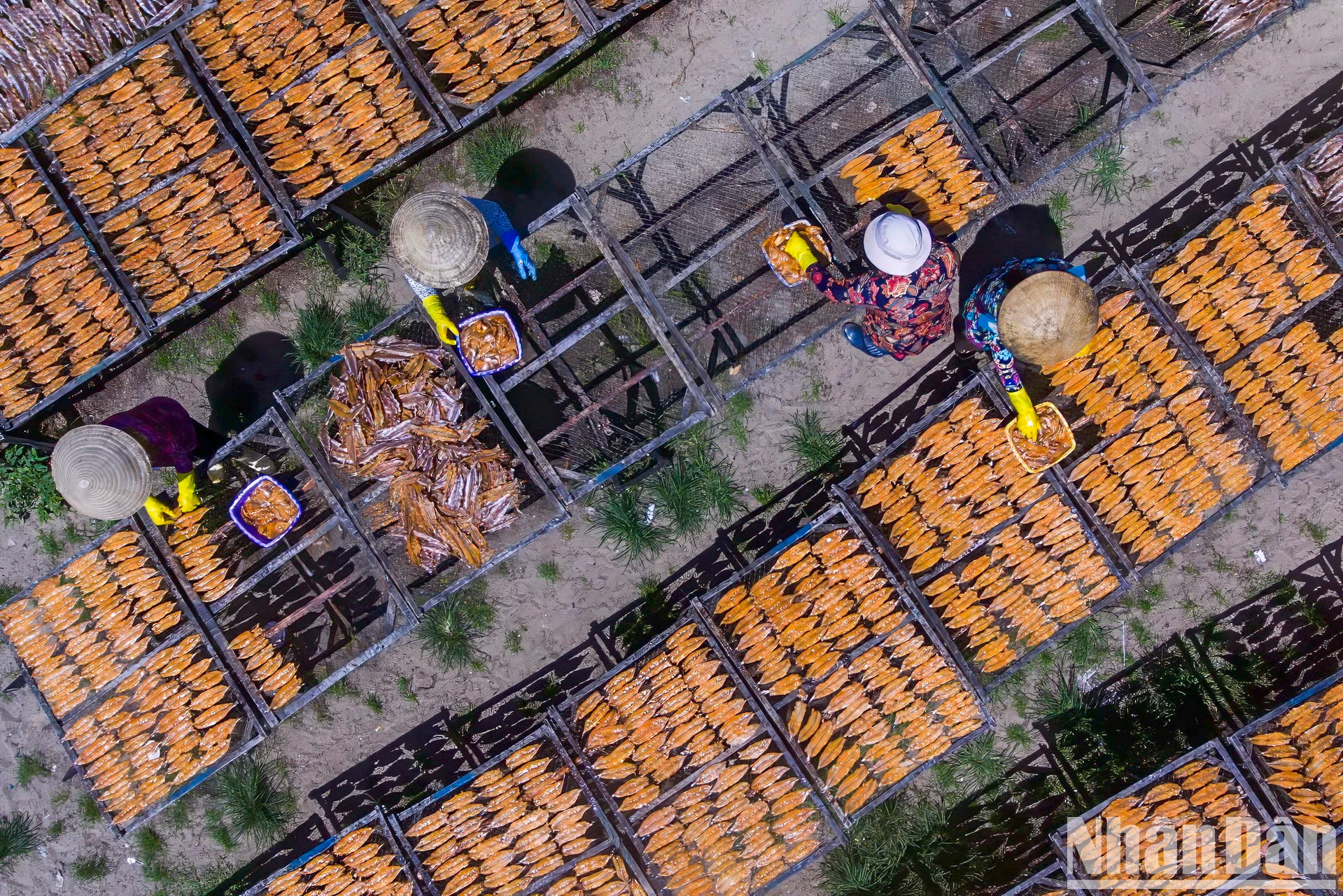 除了出售海鲜外,渔民还进行加工和晒干,以满足一部分顾客的需求。 除了出售海鲜外,渔民还进行加工和晒干,以满足一部分顾客的需求。