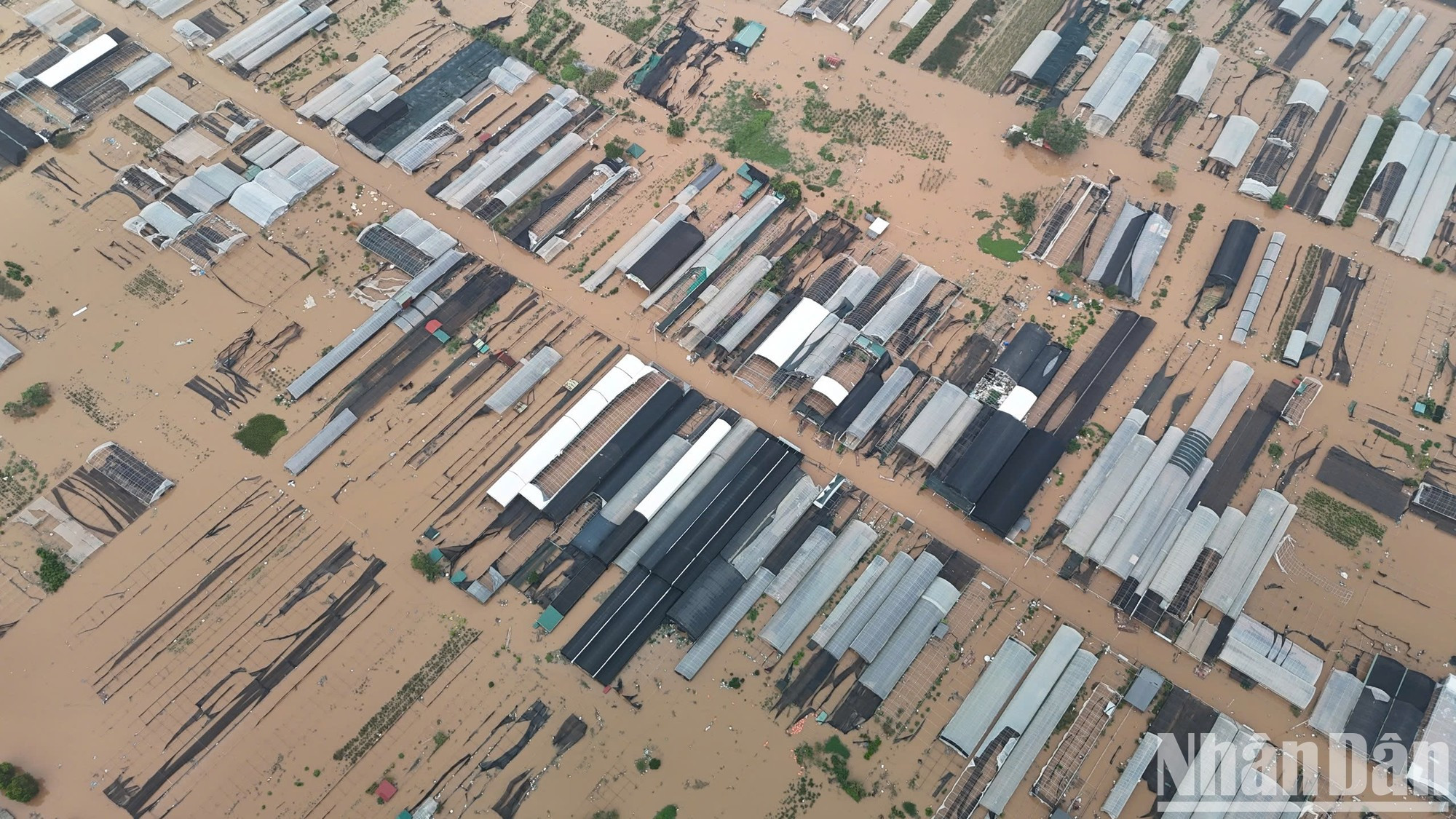 从高处俯瞰,文江县著名的花卉种植区只剩下露出在浑浊红水中的大棚屋顶。 从高处俯瞰,文江县著名的花卉种植区只剩下露出在浑浊红水中的大棚屋顶。