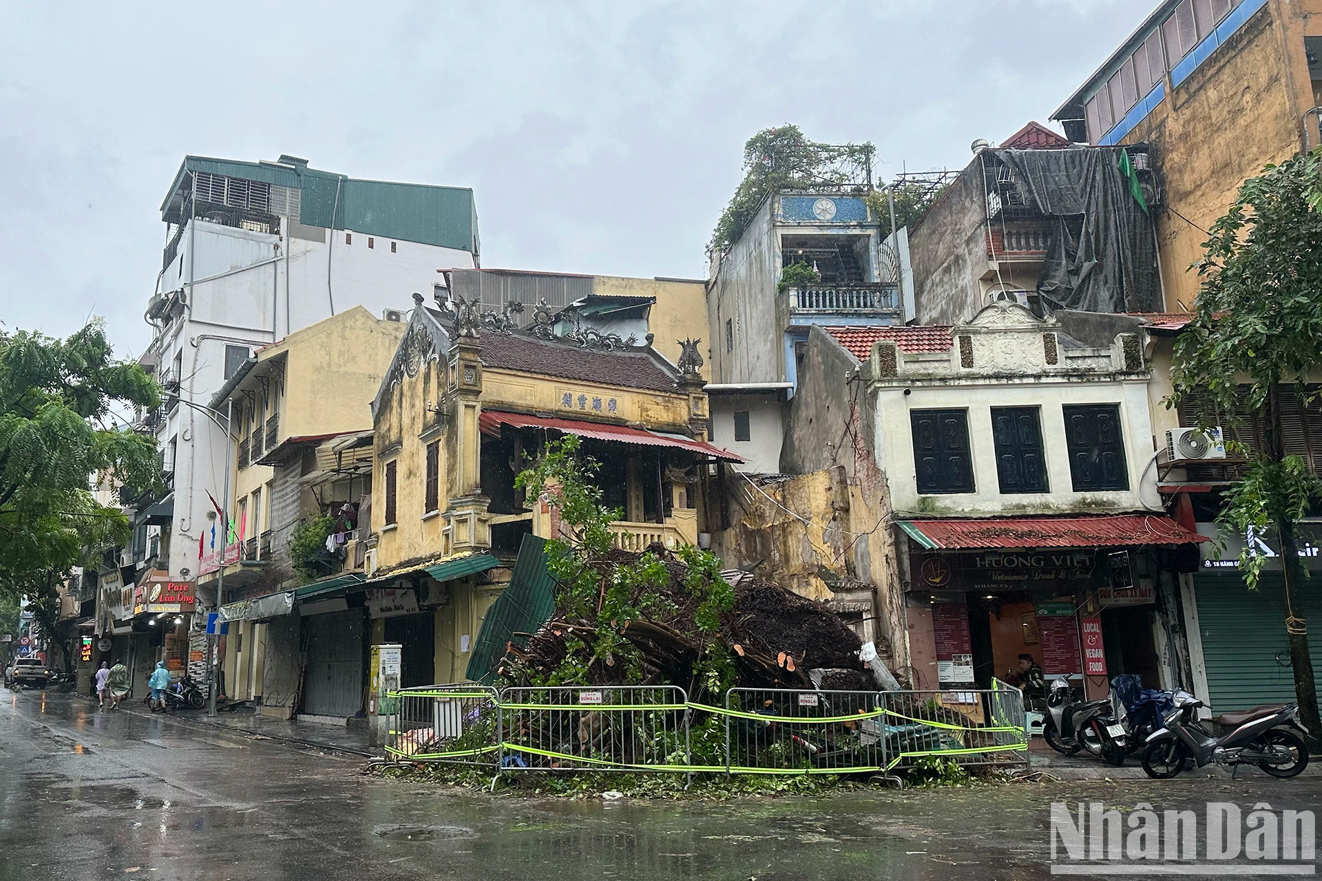 河内一棵大树倒下的地区被职能力量封锁以确保安全。