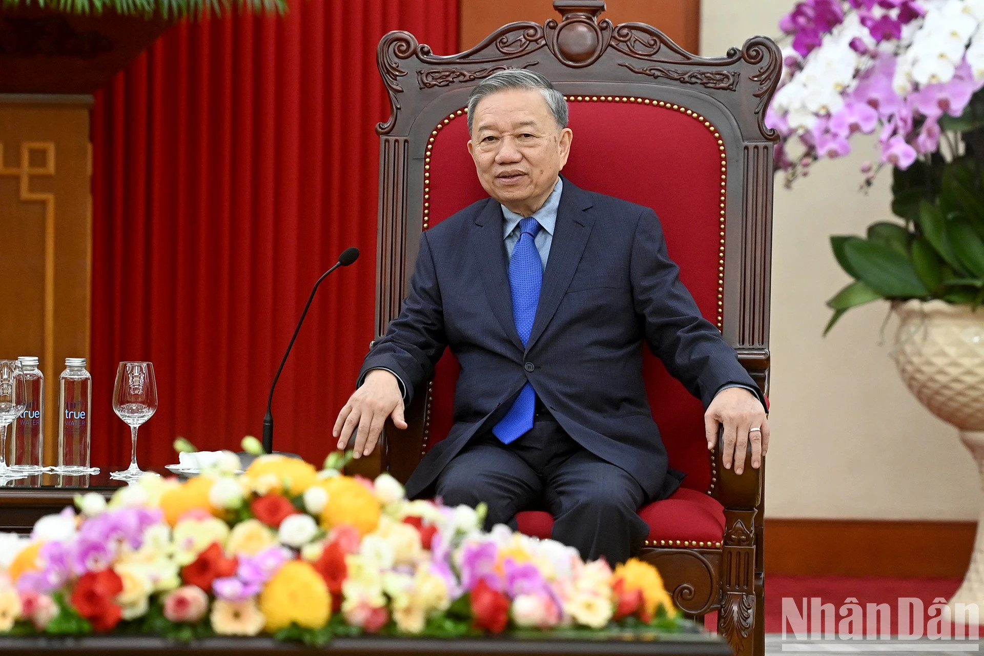 苏林总书记、国家主席在会见时发表讲话。