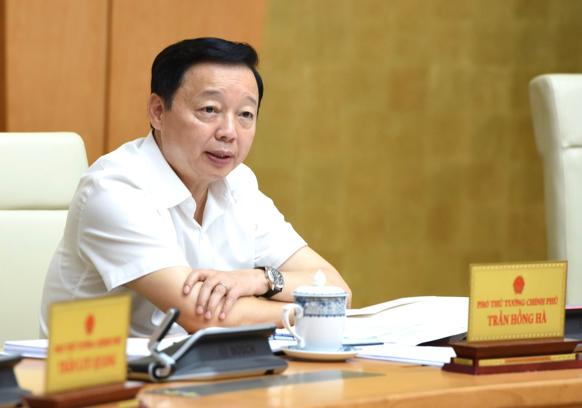 越南政府副总理陈红河在会上发表讲话。 越南政府副总理陈红河在会上发表讲话。