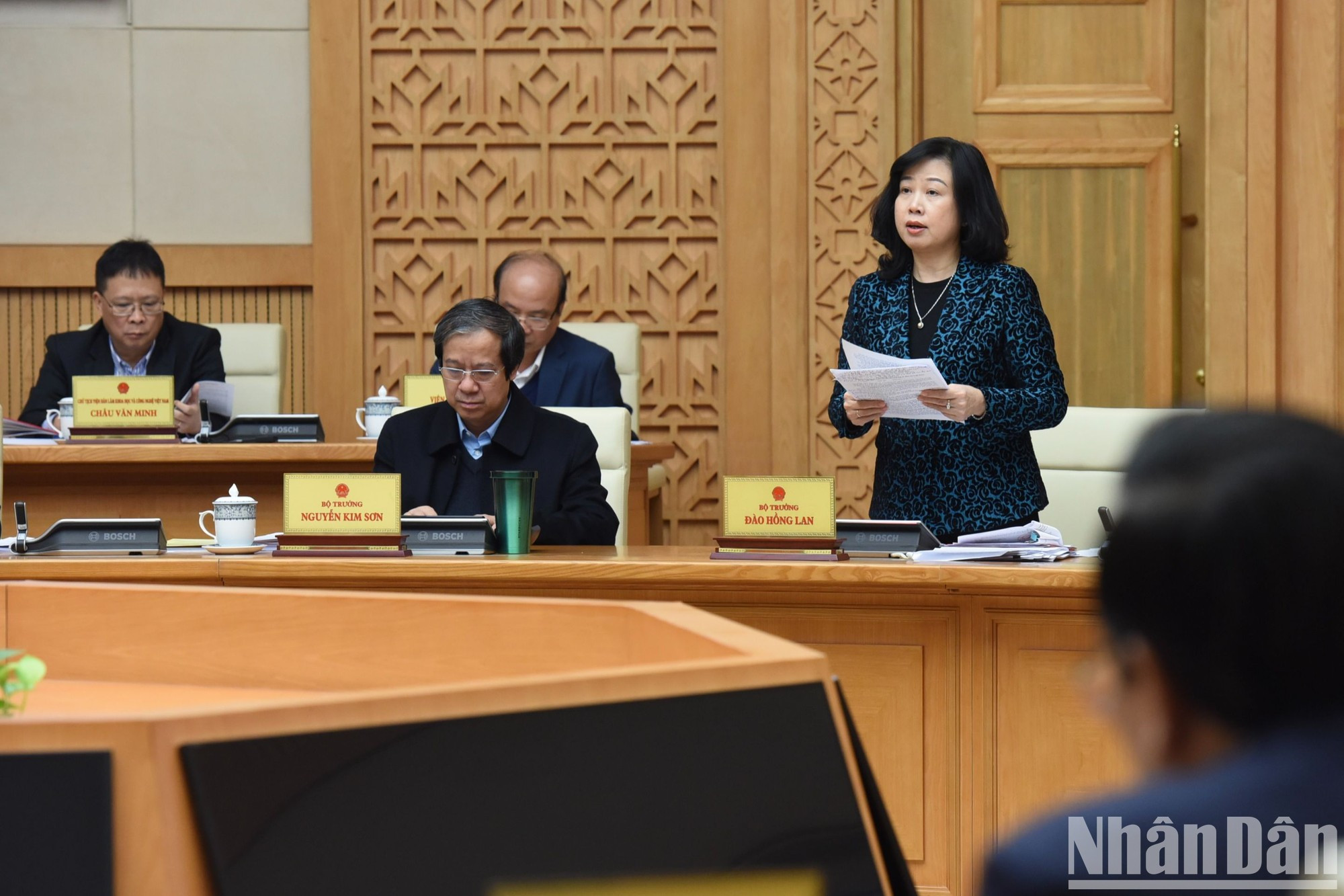 越南卫生部部长陶红兰发表讲话。