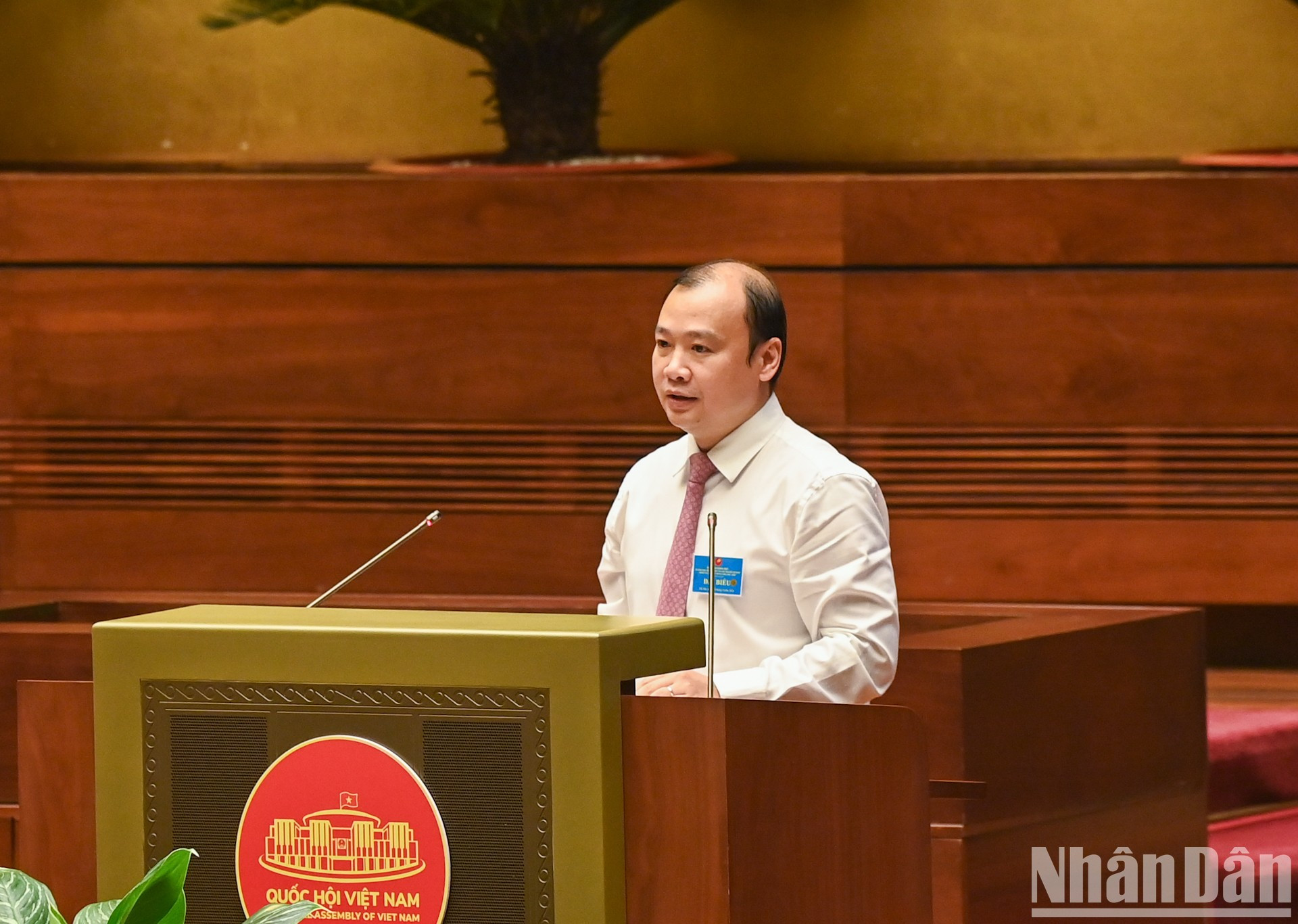 《越共主义杂志》总编辑黎海平在会上发言。 《越共主义杂志》总编辑黎海平在会上发言。