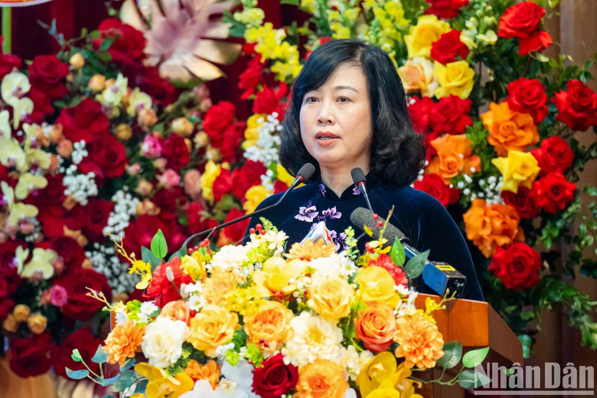 越南卫生部部长陶红兰发表讲话。