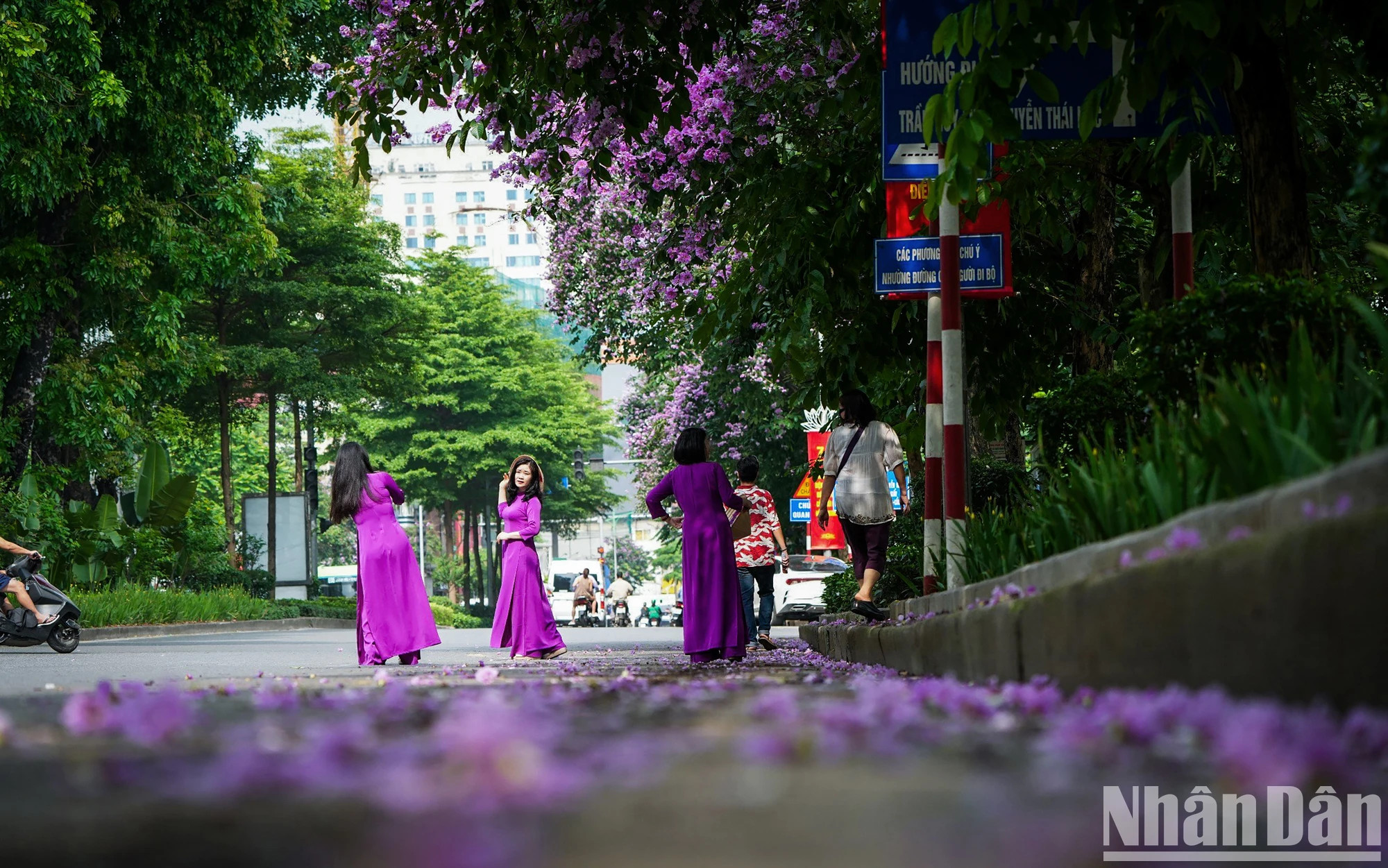 人们与紫薇花拍纪念照。
