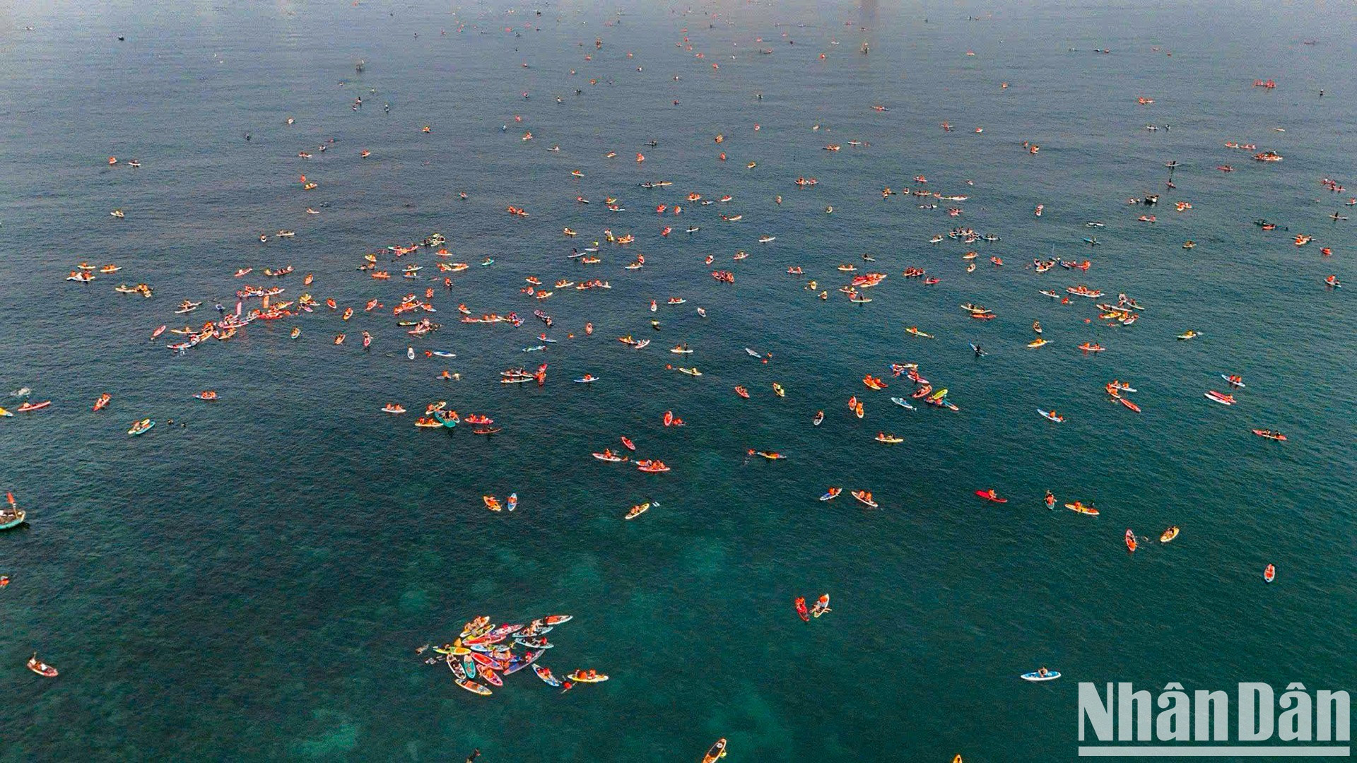 海面铺满了彩色的立式桨板。