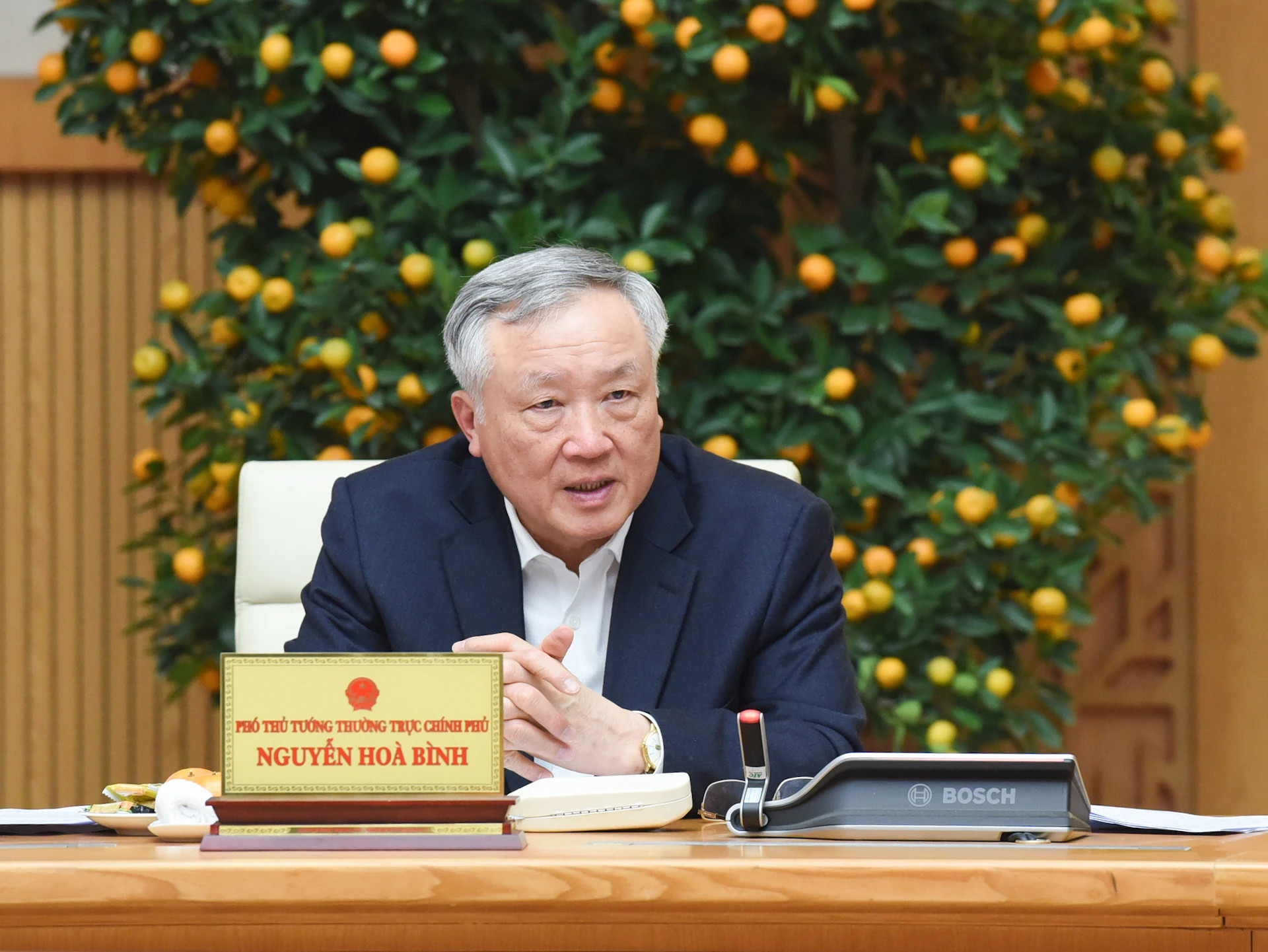 政府常务副总理阮和平发表讲话。