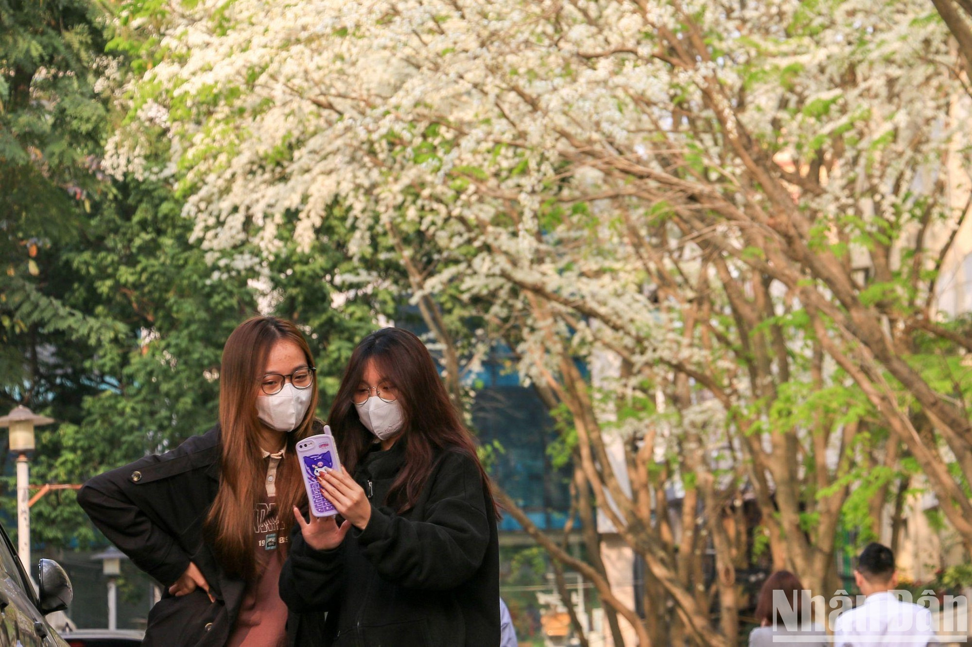 人们拍摄留影，记下这美丽的画面。