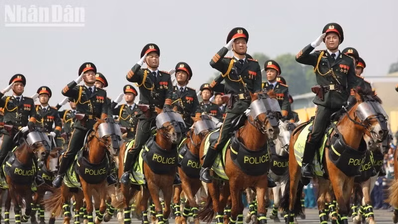 骑警队。