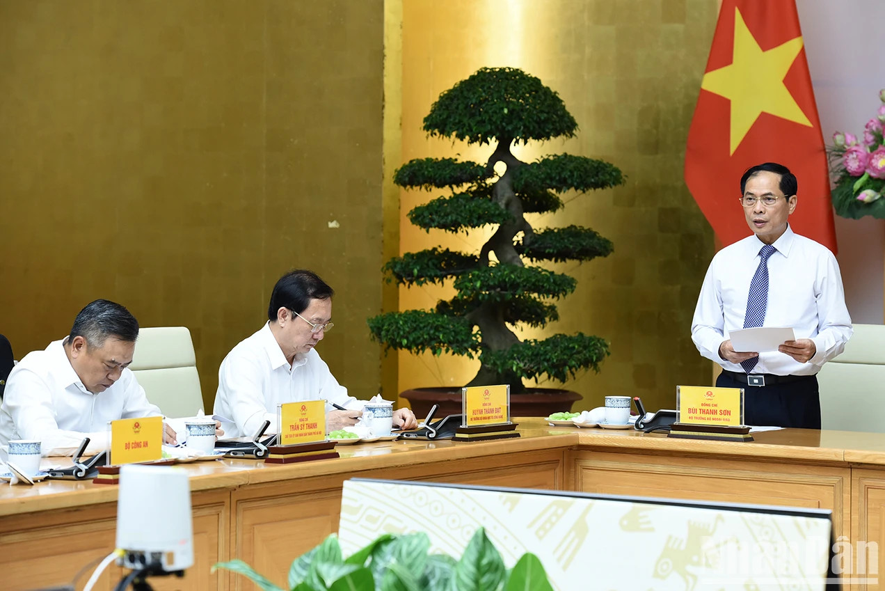 越南外交部部长裴青山在会议上作报告。