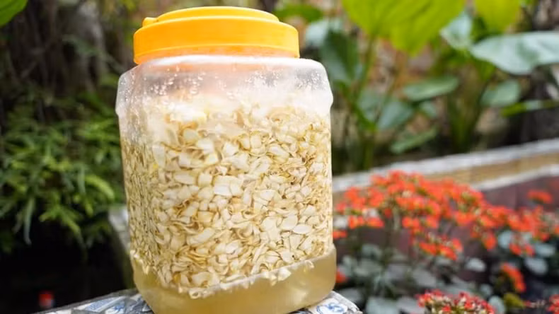 精心准备传统菜肴 迎接钵场村庙会【组图】 ảnh 12 精心准备传统菜肴 迎接钵场村庙会【组图】 ảnh 12