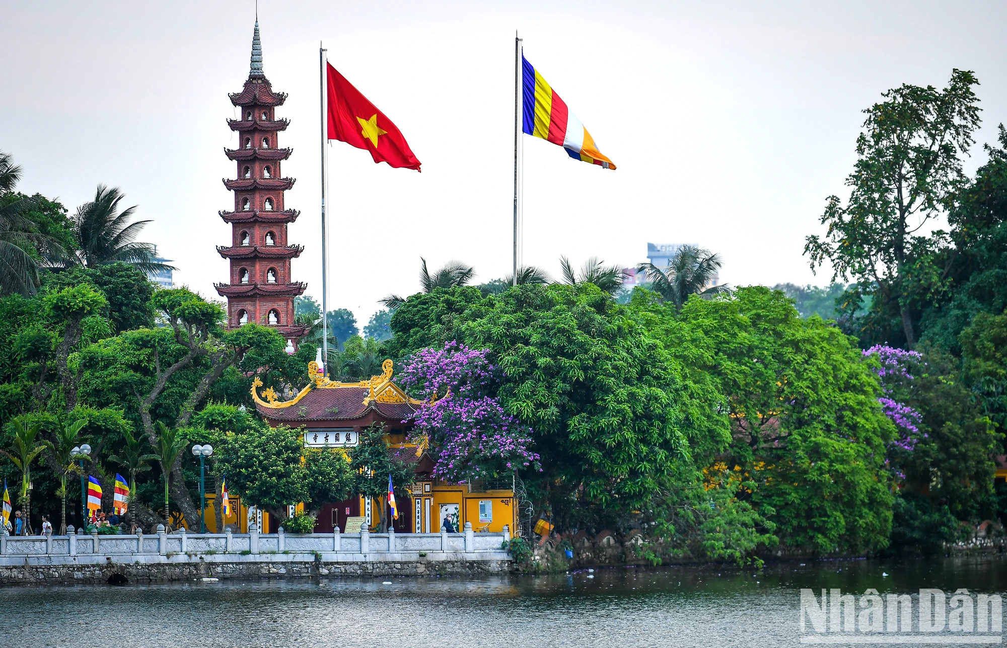 在镇国寺的紫薇花盛开。