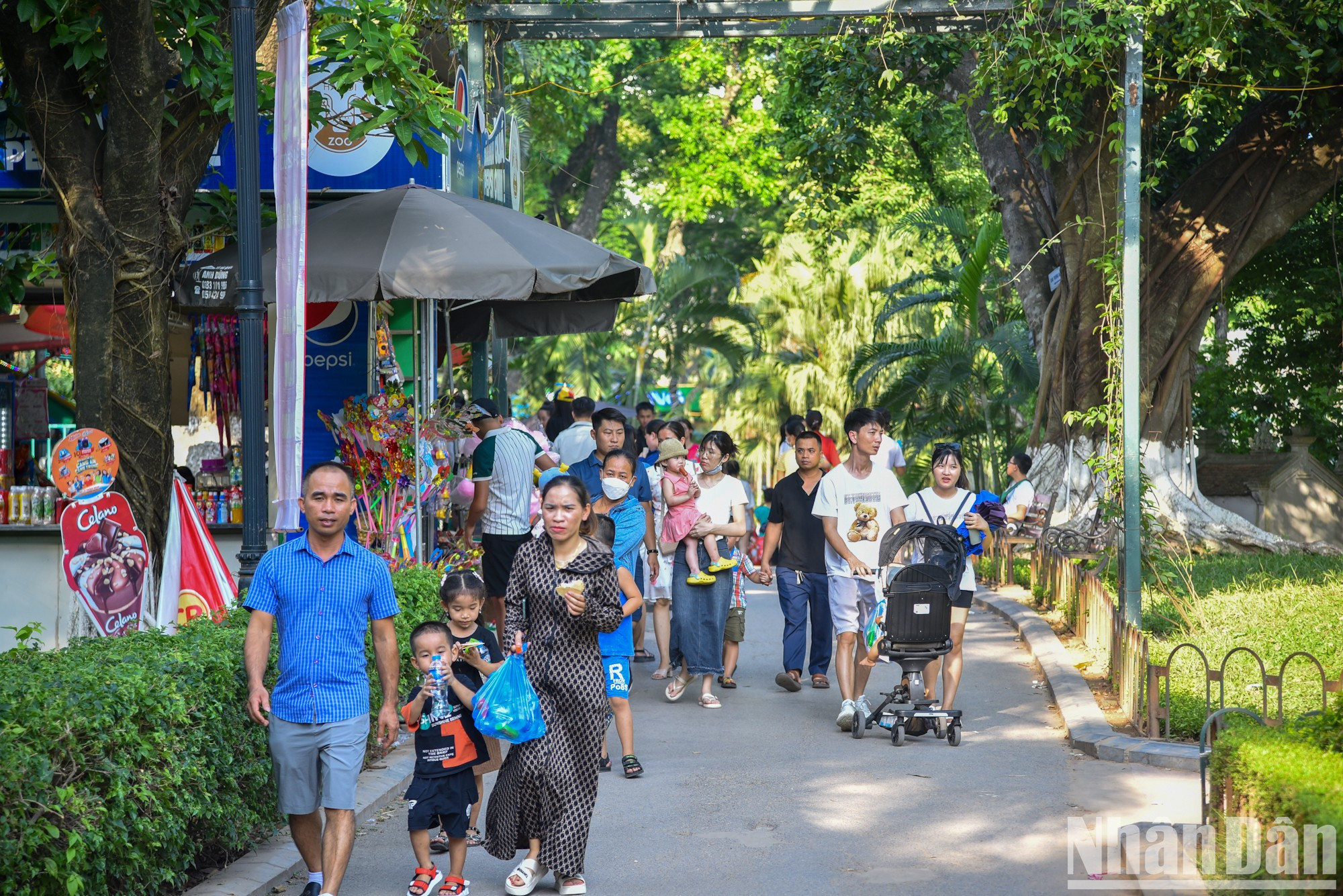 节假日期间河内动物园每天开放时间为8时至18时。 成人门票4千越南盾，高1米3以下的儿童2千越南盾。